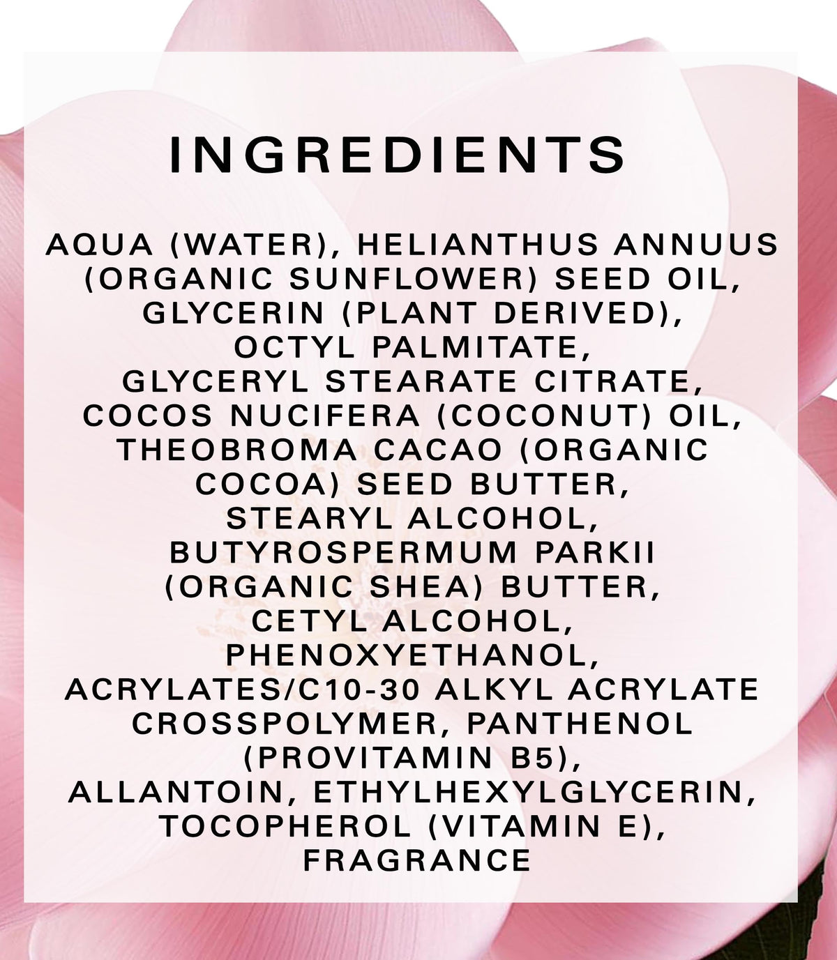 Botanical Beauty PINK JASMINE WHIPPED BODY BUTTER with Shea - Botanical Beauty Official Imagery - 7