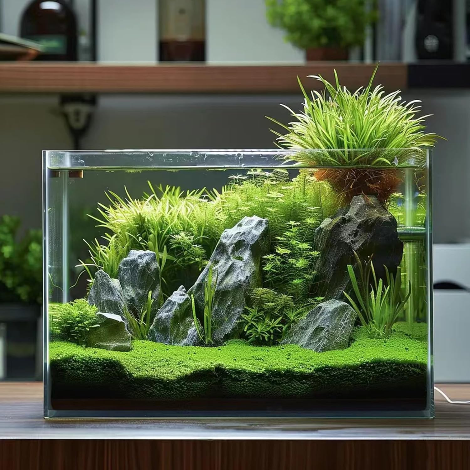 Vimvins 5-gallon glass fish tank with lid, suitable for Betta, goldfish, snails, shrimp, and aquatic plants, easy to maintain