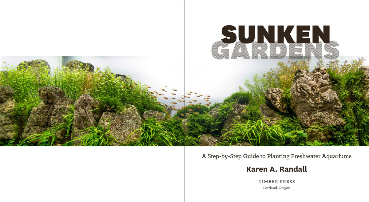 Sunken Gardens A Step by Step Guide to Planting Freshwater - by               
		   Karen A. Randall     
       			(Author) 
       	             Format: Paperback Official Imagery - 4
