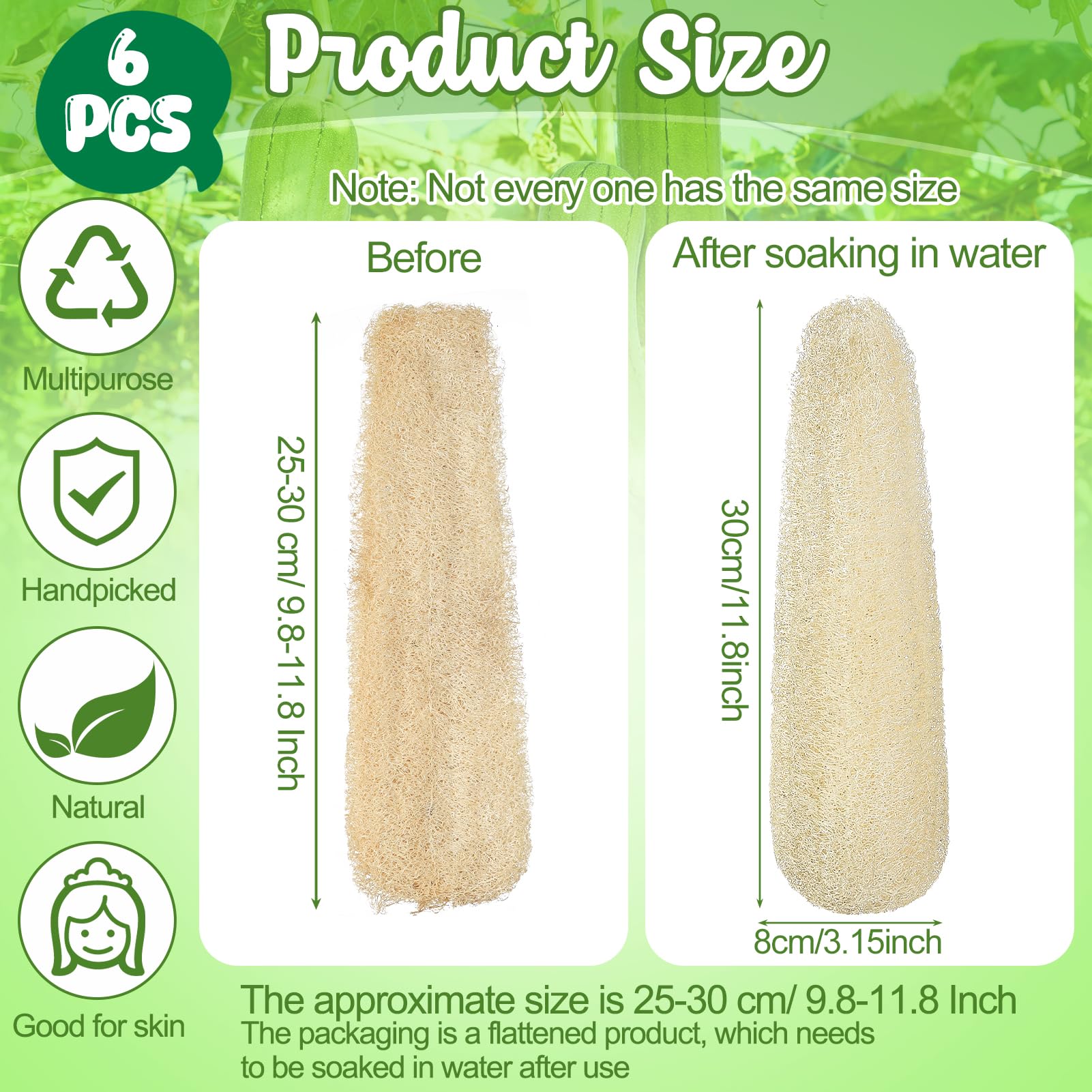 ZhouBoat 11.8" Natural Loofah Sponges 6 - Pack & Organic Bath & Body Scrubber - ZhouBoat Official Product View 2