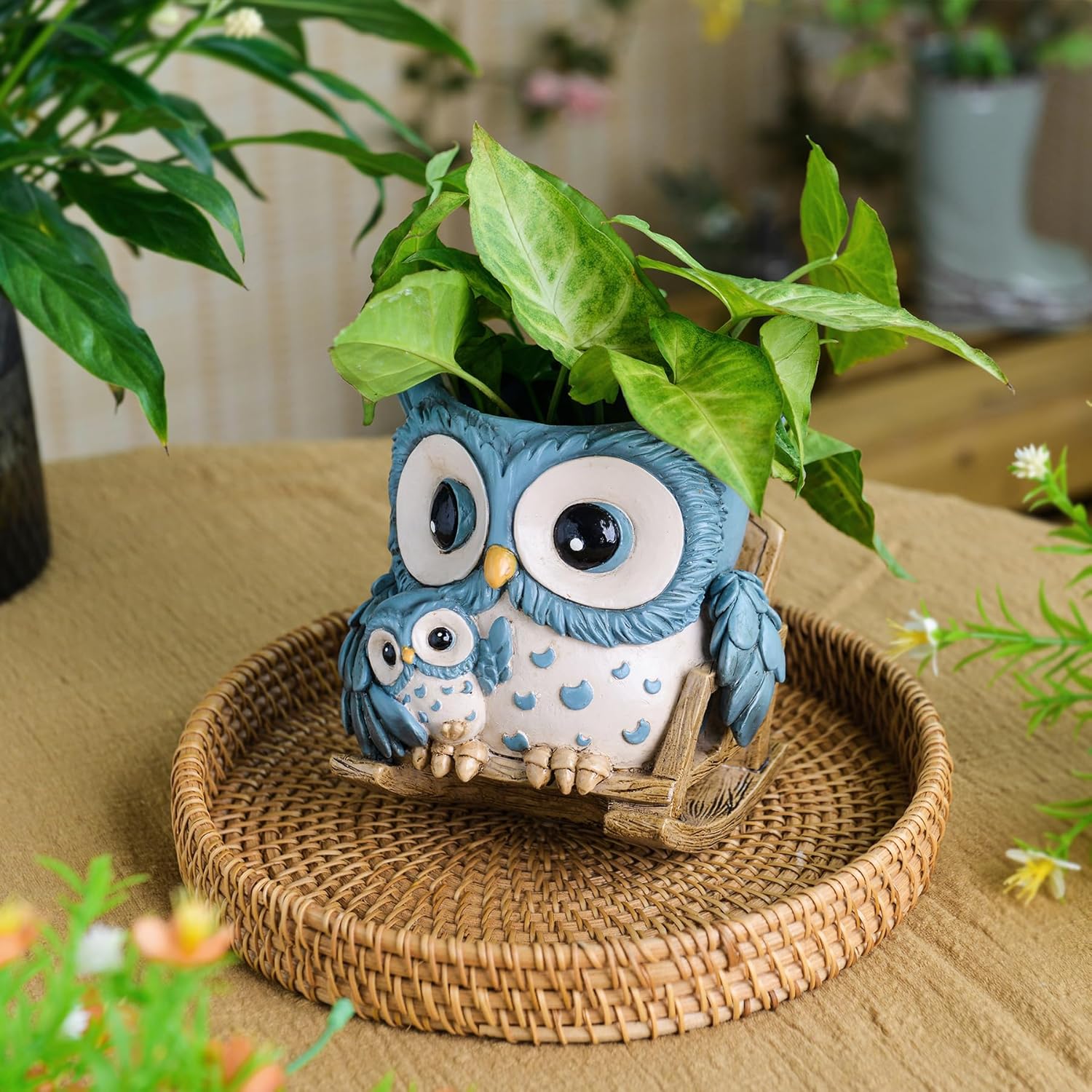 Saysmile unique owl-shaped indoor plant pot with drainage, small size ideal for succulents, featuring a cute, decorative design.