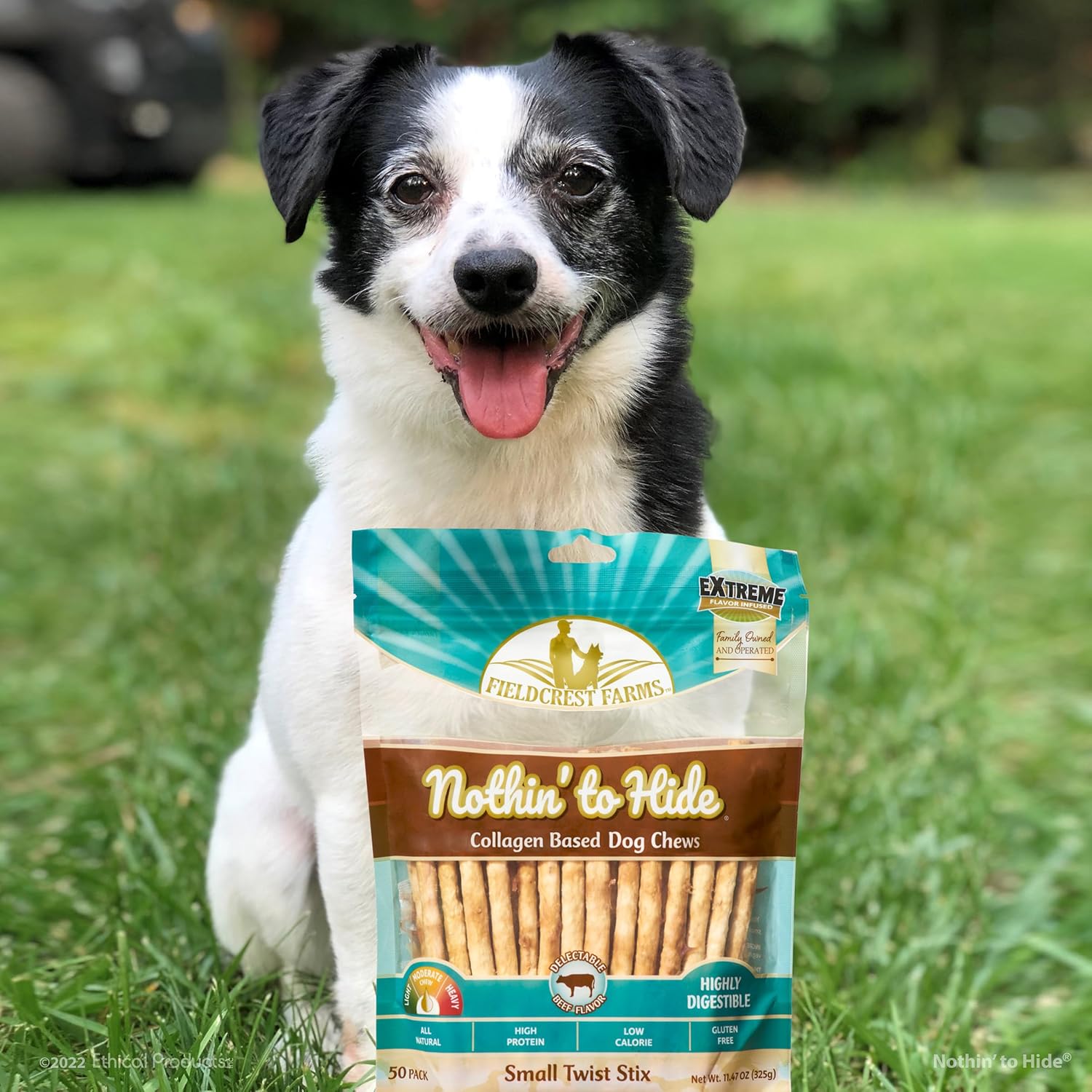 Fieldcrest Farms Nothin' to Hide Twist Stix dog treats with beef flavor, easily digestible for healthy canine snacking.
