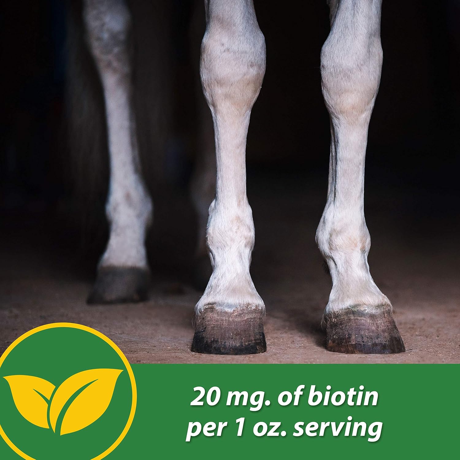 Farnam HB 15 Hoof Supplement in 3-pound container supporting healthy hoof growth for horses, 48-day supply.
