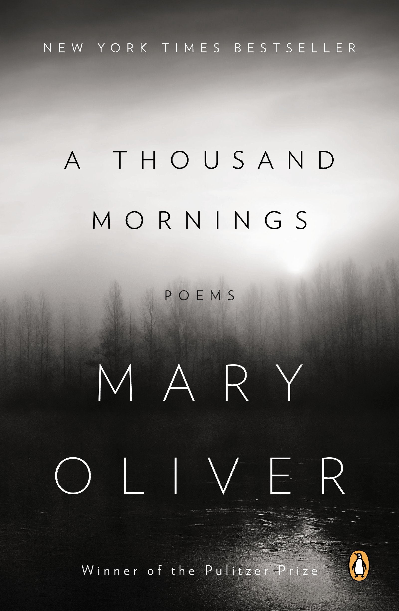 A Thousand Mornings: Poems - Product Imagery
