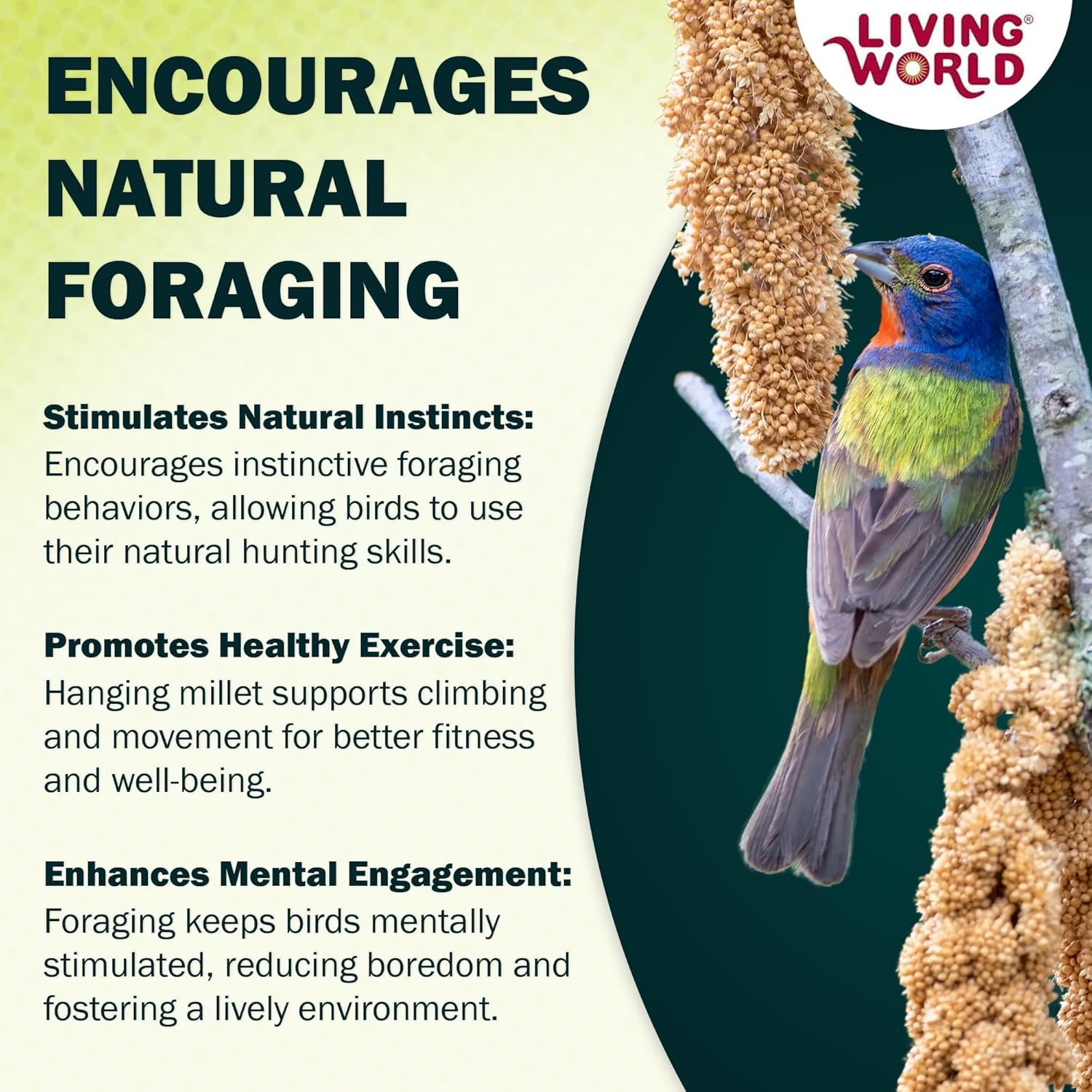 Living World millet spray for birds, 7 oz, premium treat for budgies, canaries, finches, cockatiels, and other pet birds.