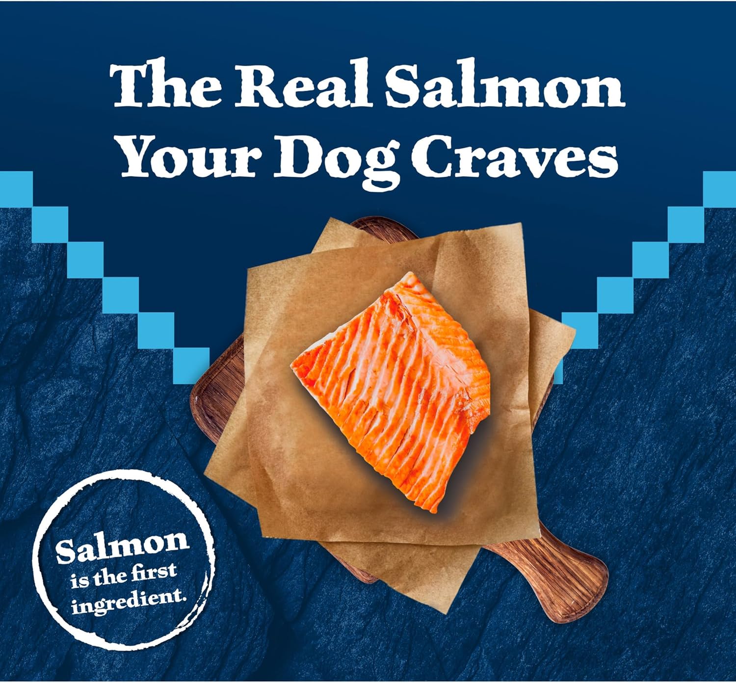 Blue Buffalo Wilderness salmon high-protein dry dog food in a 4.5-lb bag with blue and salmon-colored packaging.