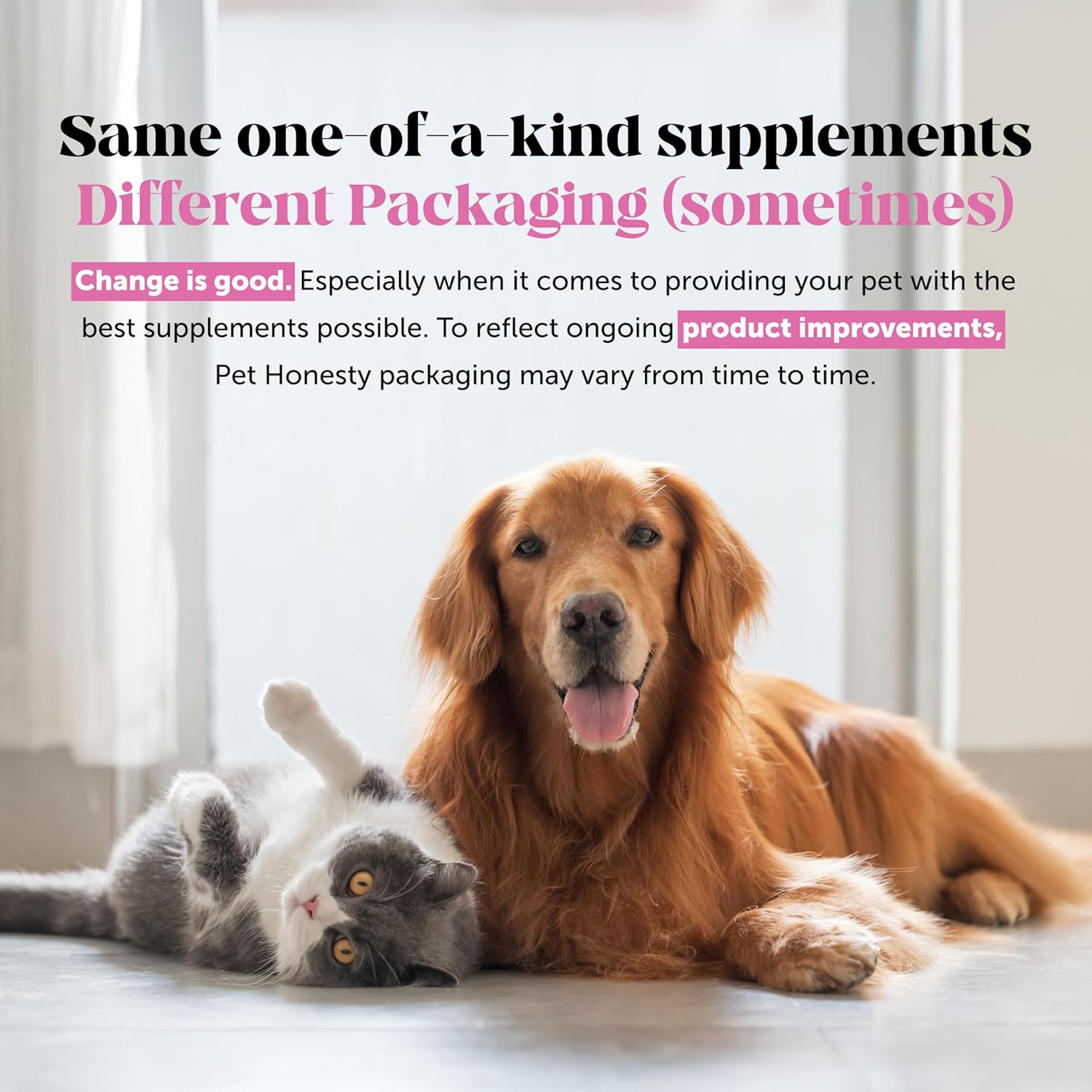 Senior Hemp Hip & Joint Support, Hemp for Dogs, Mobility Support