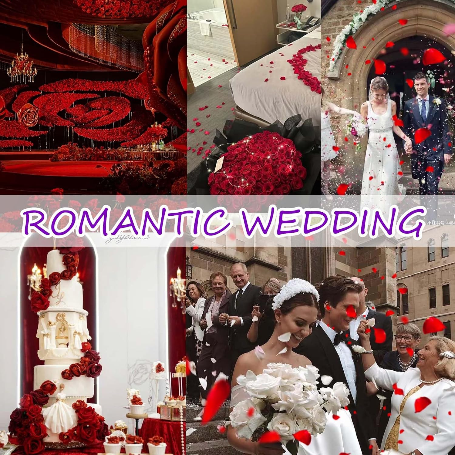 Dried real Tavkite rose petals, natural preserved dry flowers for wedding or party decoration, shown in a close-up image.