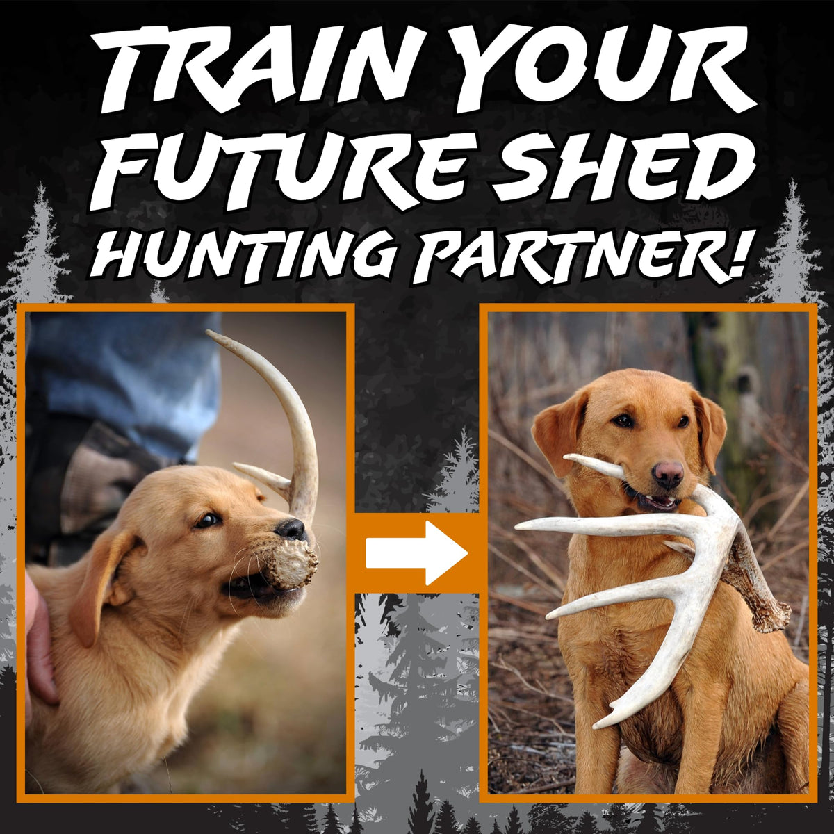 DogBone Shed Hunting Dog Training Kit Train Your Puppy to - DogBone Official Imagery - 5