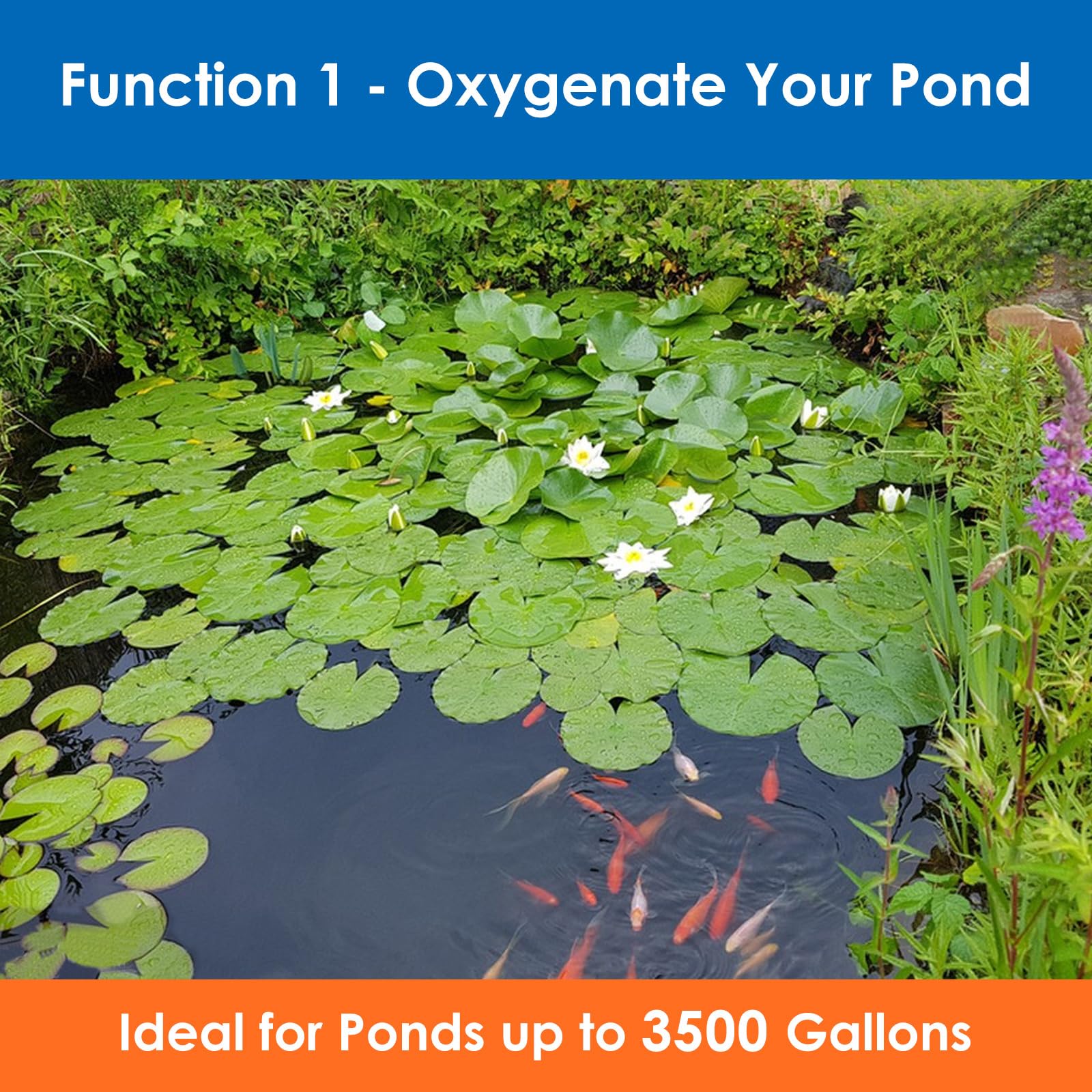 AquaMiracle All-in-One Koi Pond Aerator for Outdoor Ponds up to 3 - AquaMiracle Official Product View 6