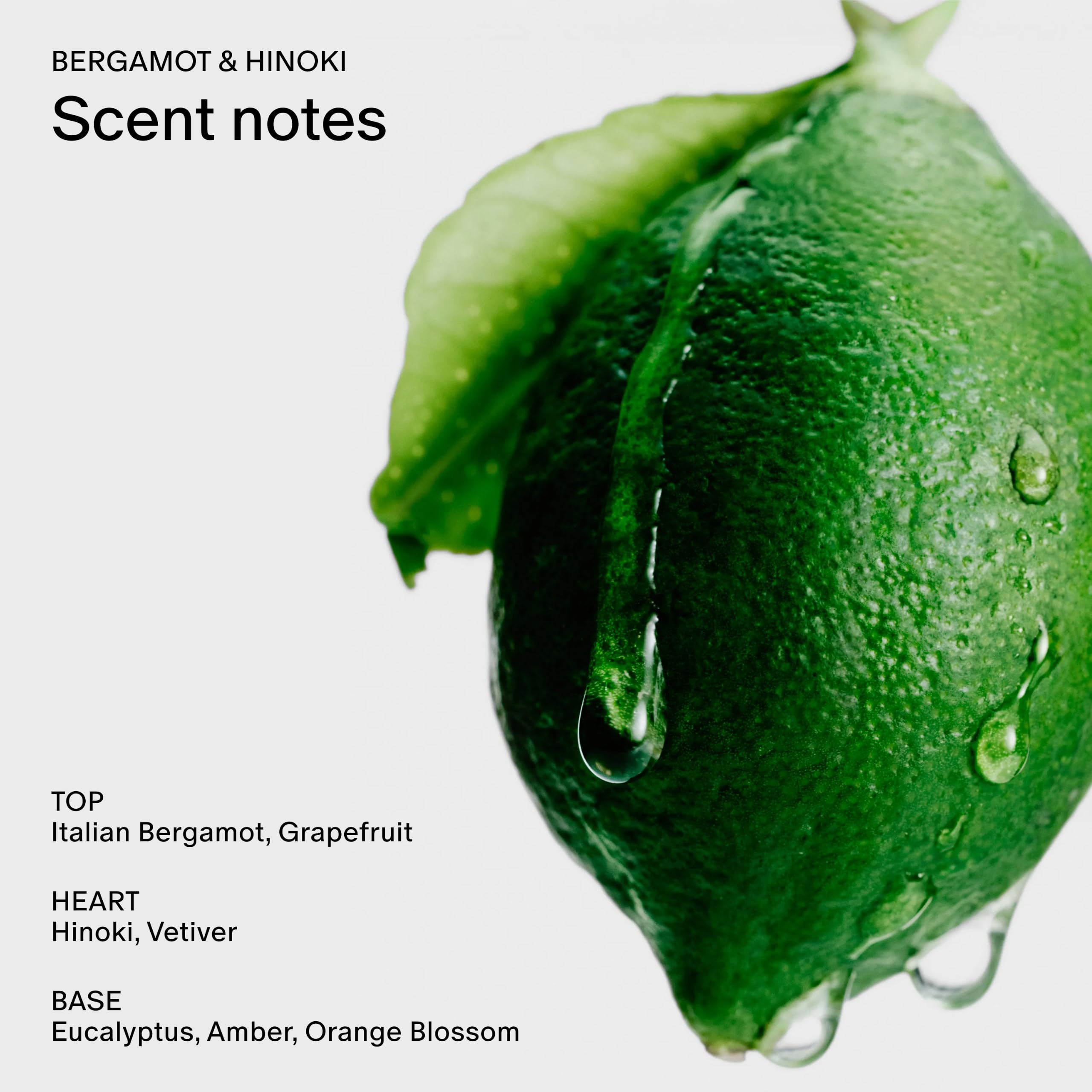 Salt Stone Hair Body Mist for Women Men Bergamot Hinoki 3 4 - Salt & Stone Official Imagery - 4
