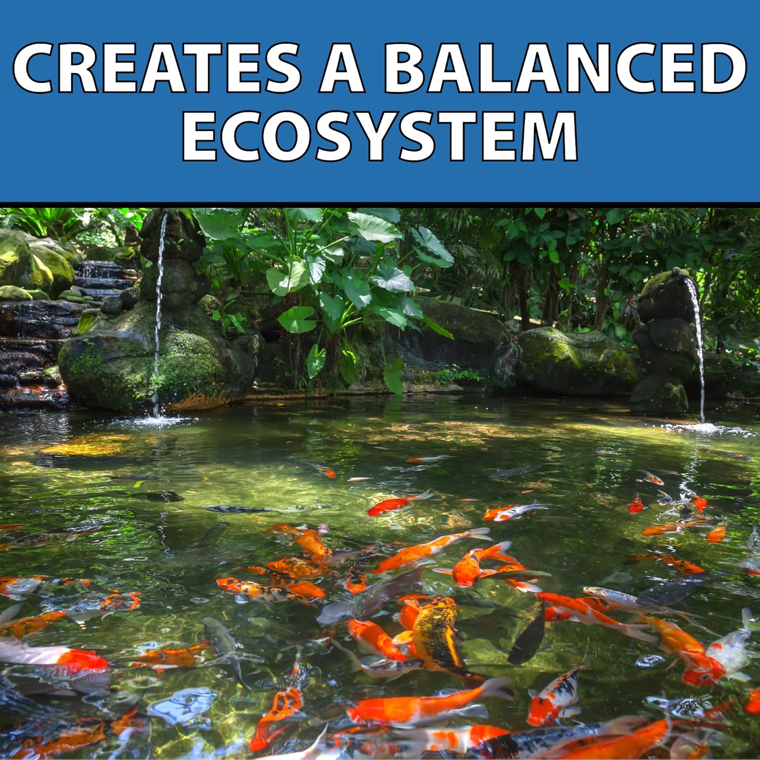 CrystalClear Barley Extract Pond Treatment – Natural Water Clarifier for Fountains 1 Gallon