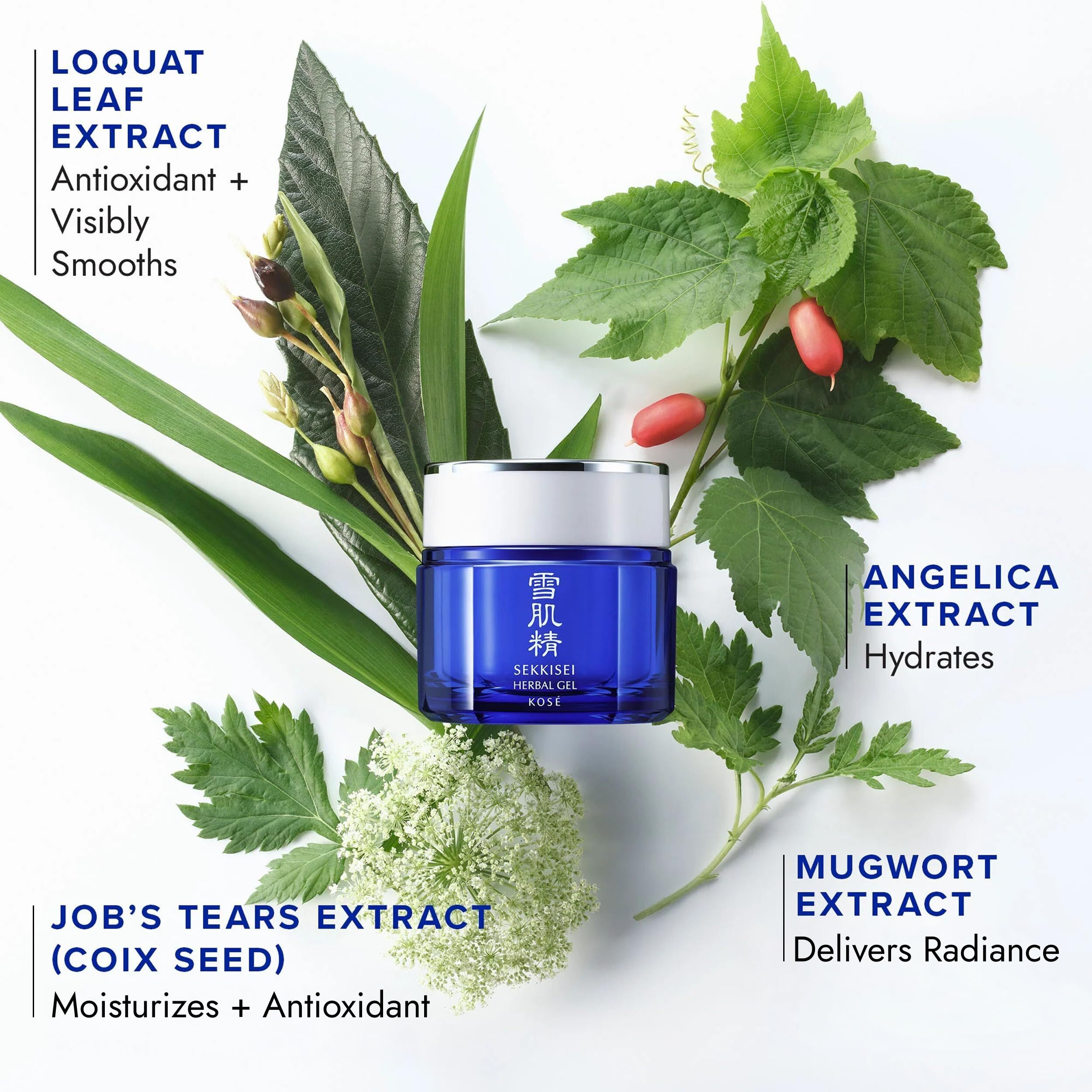 SEKKISEI Balanced Care Trio Bundle Set: Facial Cream Wash (4.5 - SEKKISEI
