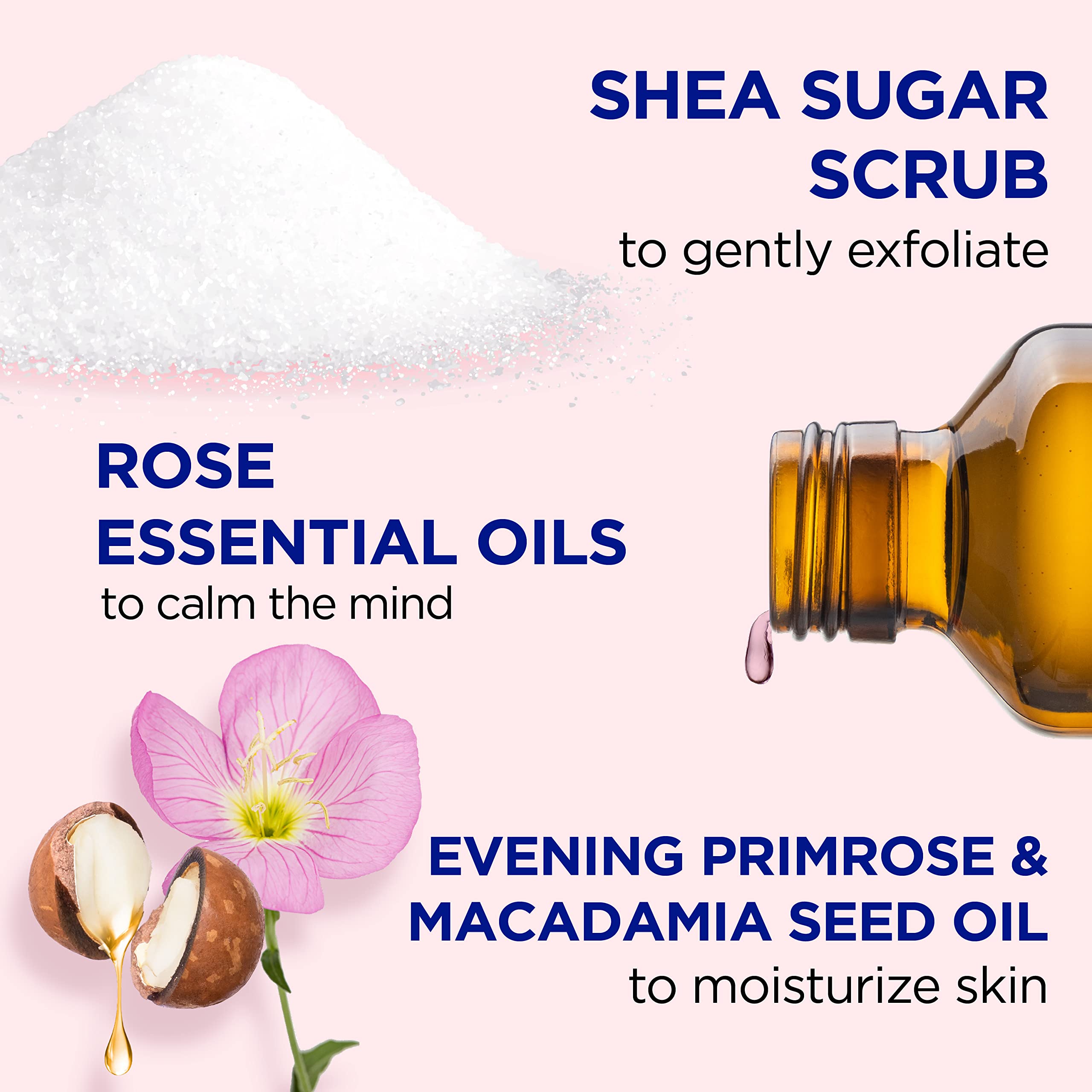 Dr Teal s Shea Sugar Body Scrub Rose with Essential Oil 19 - Dr Teal's Official Imagery - 3