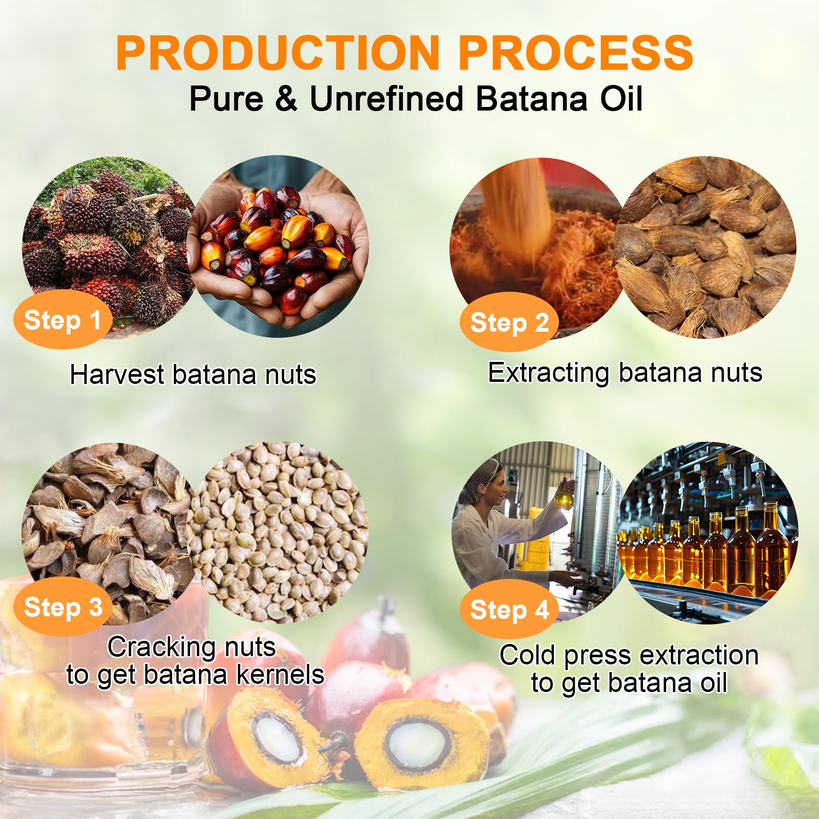 MISICH Raw Batana Oil, 100% Natural Organic Hair Growth Oil , Sourced from - MISICH Official Product View 7