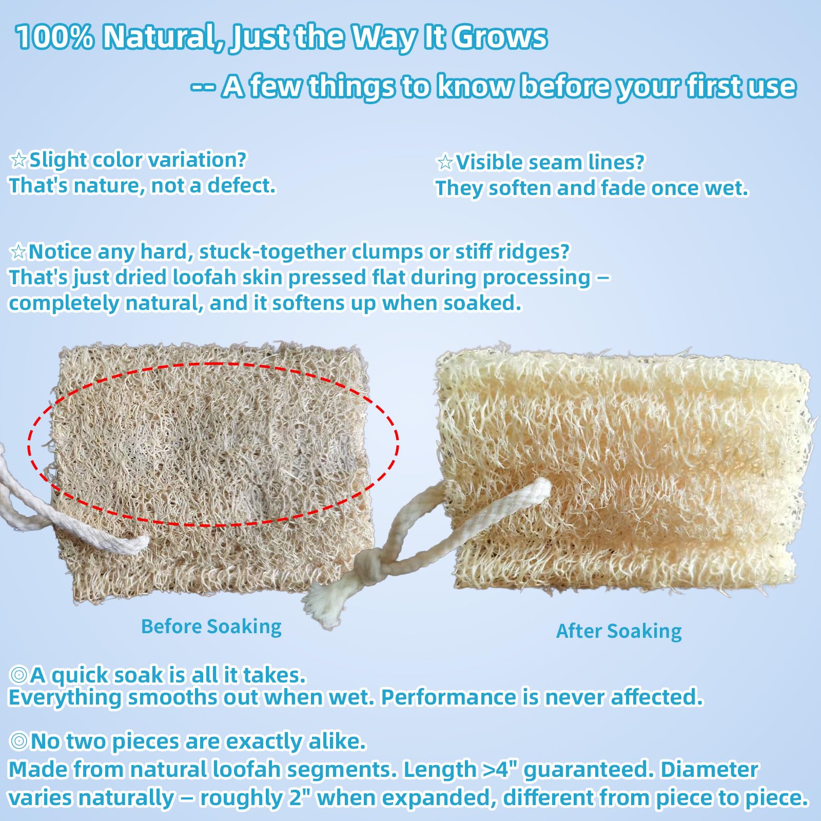 ZOXUYUMI Natural Loofah Exfoliating Body Sponge Scrubber, Plant - Based Organic - ZOXUYUMI Official Product View 7