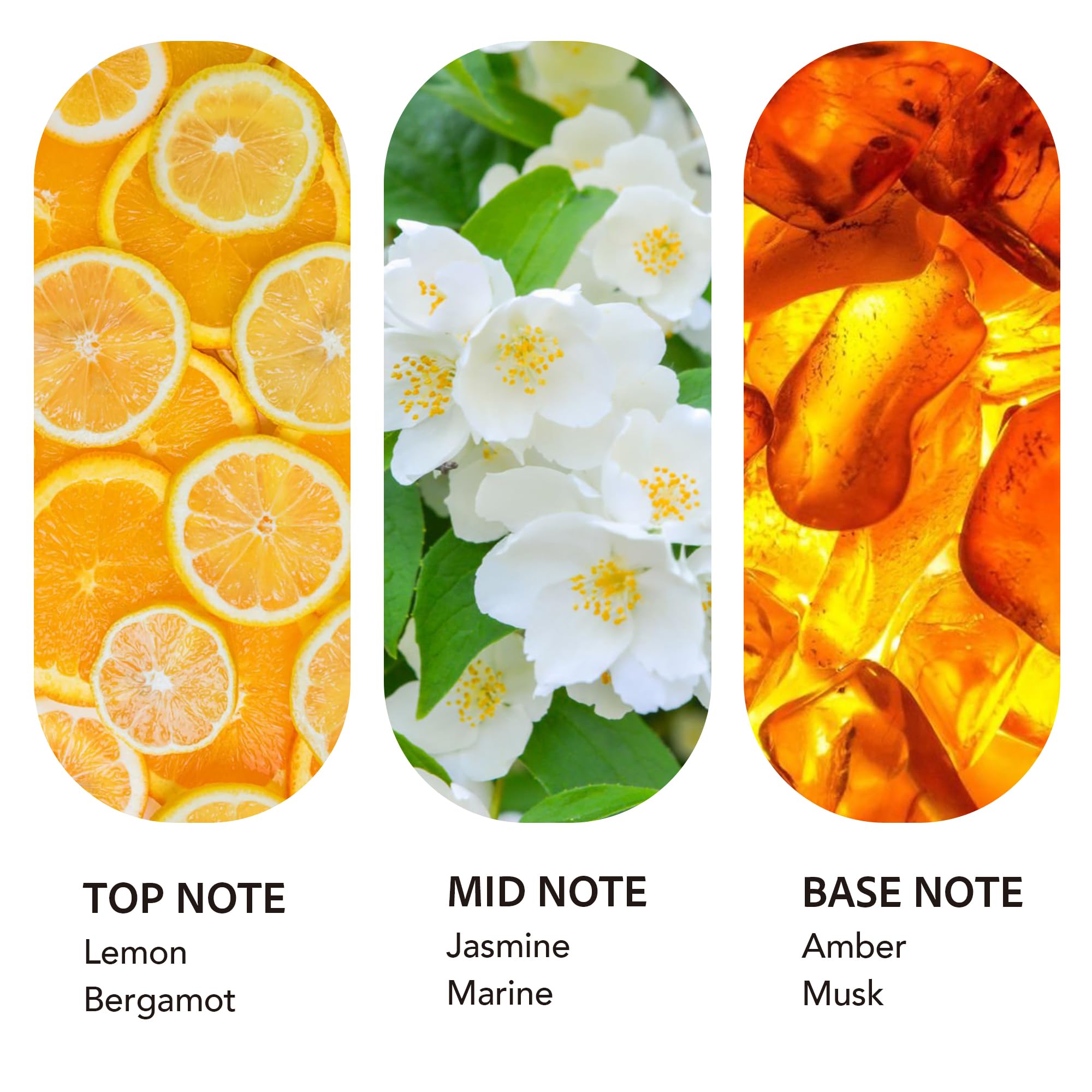 Luxury Hotel Scent Diffuser Oil 500ml – Ritz-Carlton Inspired