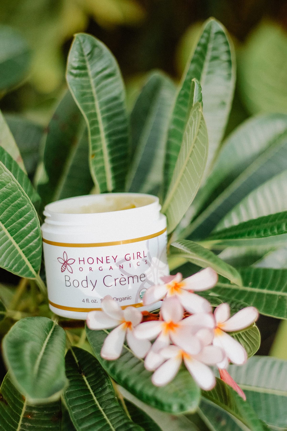 Honey Girl Organics Body Creme 4 0 Fluid Ounce - Honey Girl Organics Official Imagery - 5