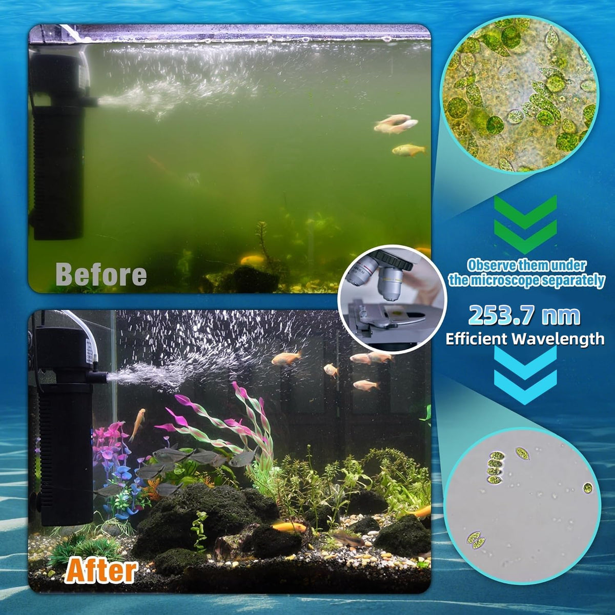 TARARIUM U V Aquarium Filter for Fish Turtle Tank Medium fit - TARARIUM Official Imagery - 4