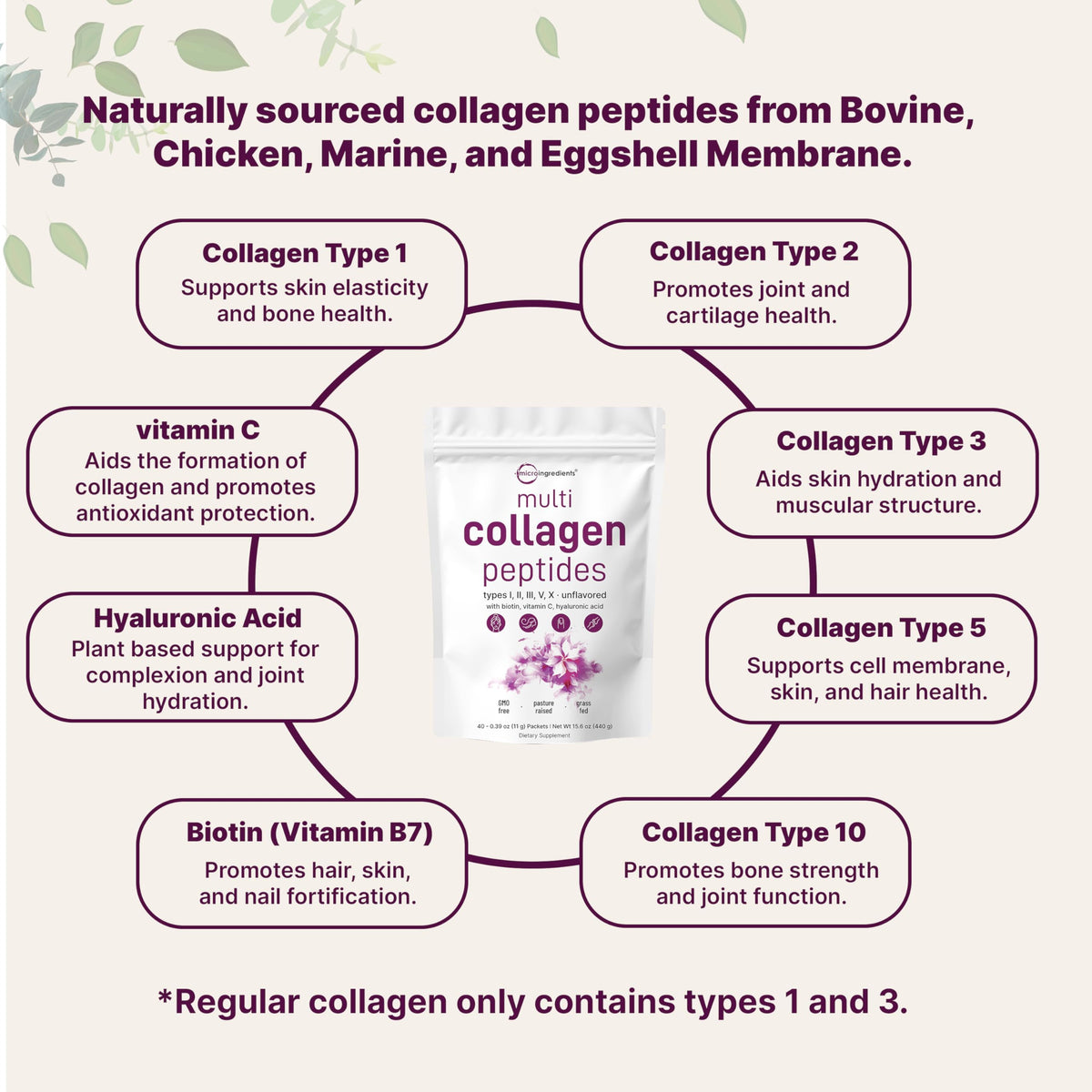 Micro Ingredients Multi Collagen Peptides Powder 40 Stick - Micro Ingredients Official Imagery - 4