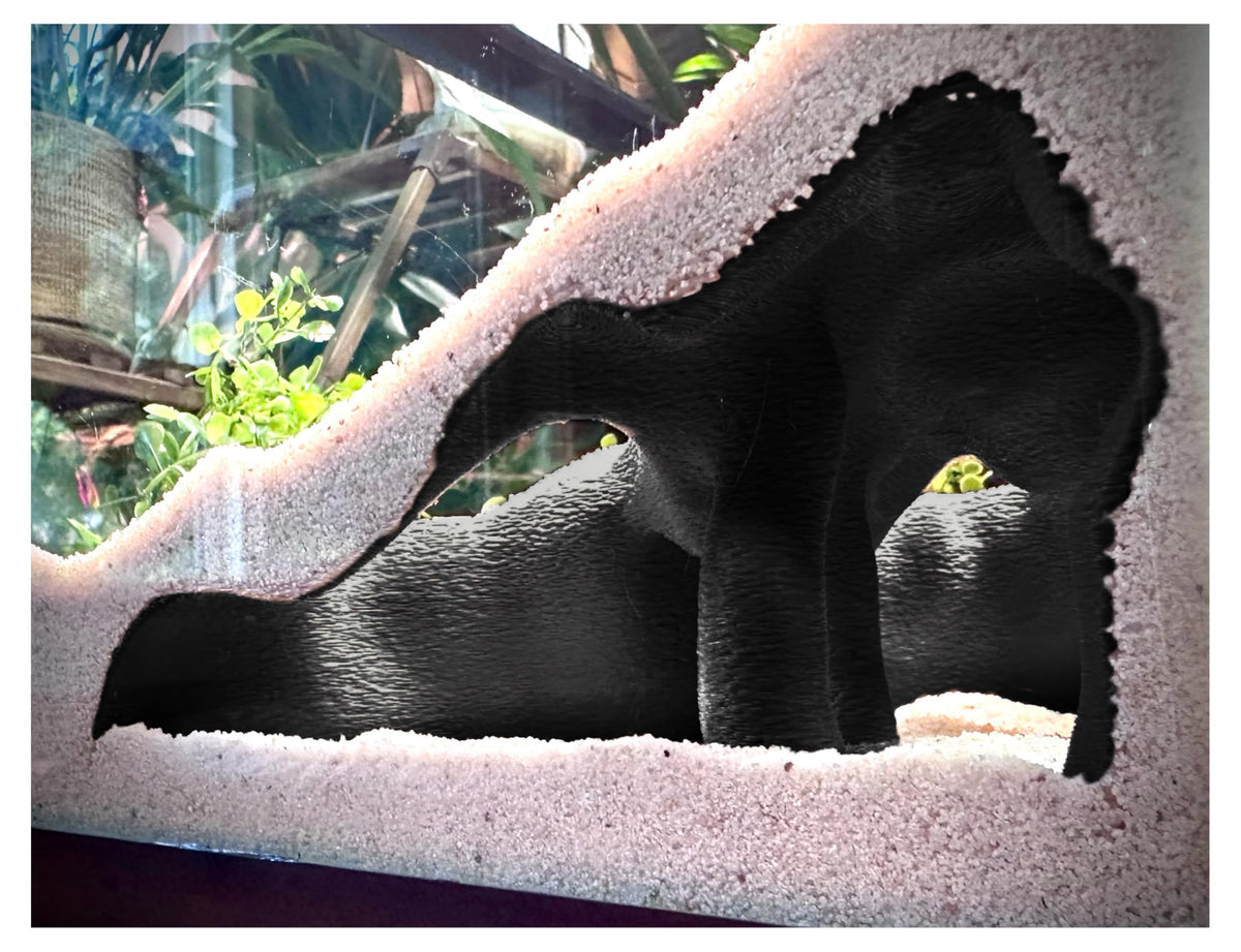Aquarium Terrarium Corner Underground Cave Faux Mangrove - FROSTO Official Imagery - 1