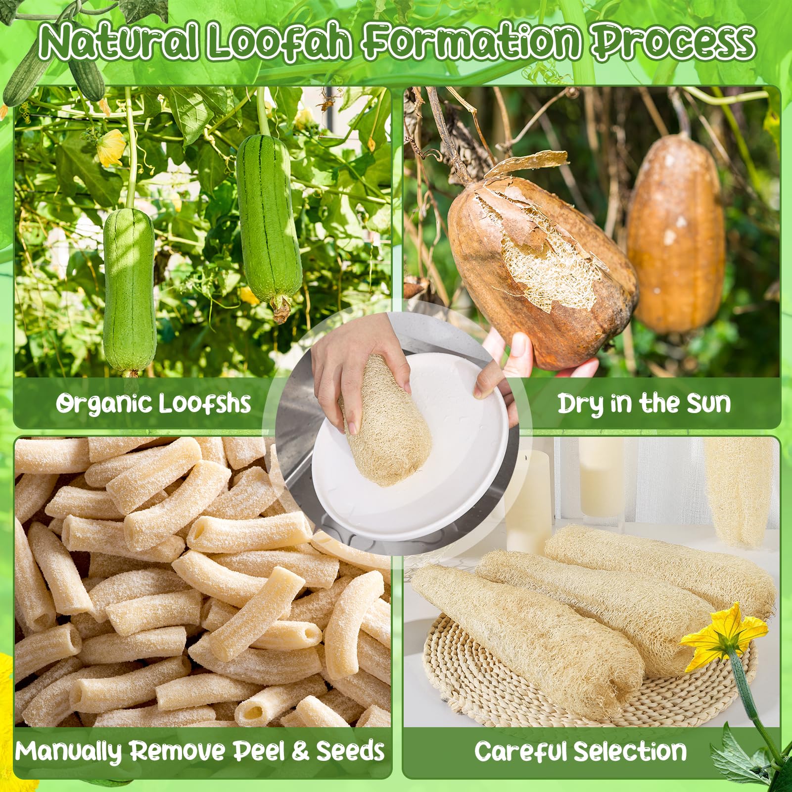ZhouBoat 11.8" Natural Loofah Sponges 6 - Pack & Organic Bath & Body Scrubber - ZhouBoat Official Product View 5