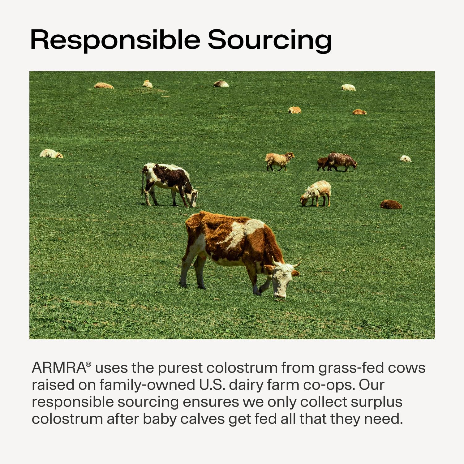ARMRA Colostrum Powder, Unflavored, 120 Serving Jar - ARMRA Official Product View 8