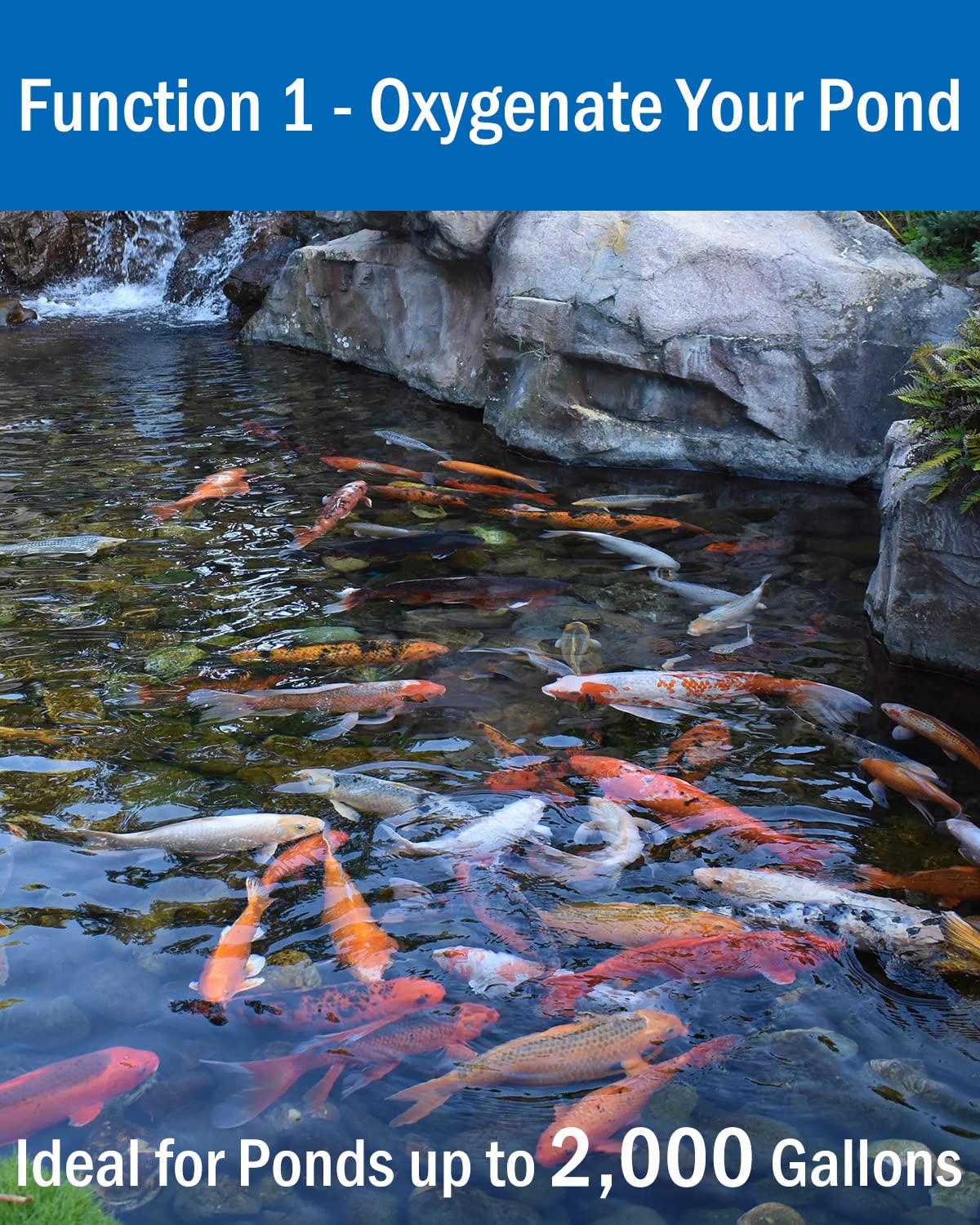 AquaMiracle All-in-One Koi Pond Aerator for Outdoor Ponds up to 2 - AquaMiracle Official Product View 5
