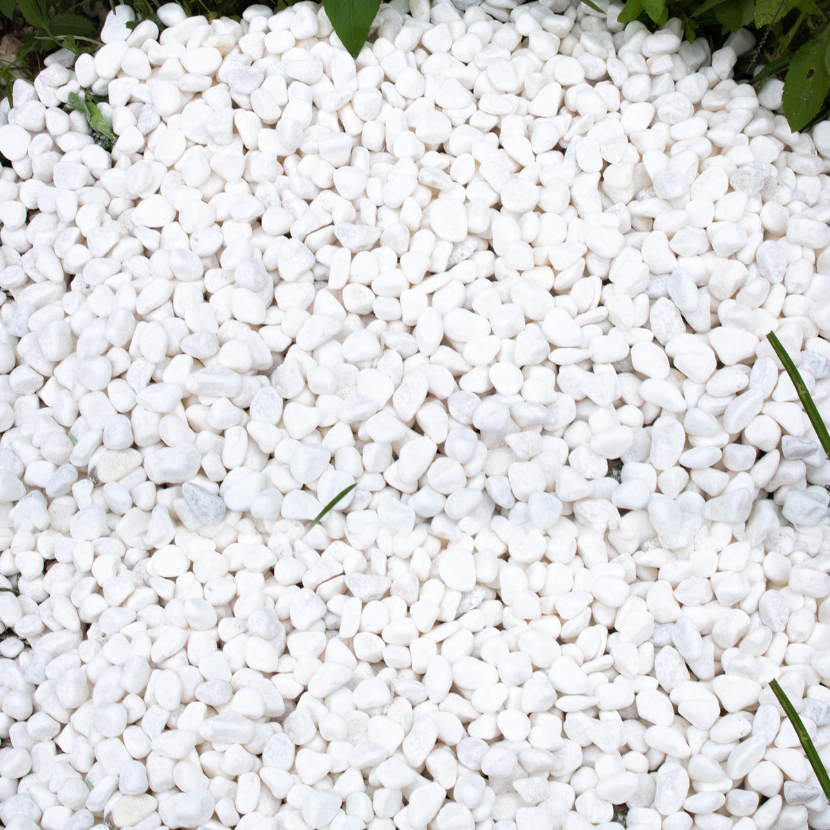 Pebbles for Plants 18 lb Natural River Rocks Garden - CJGQ Official Imagery - 8