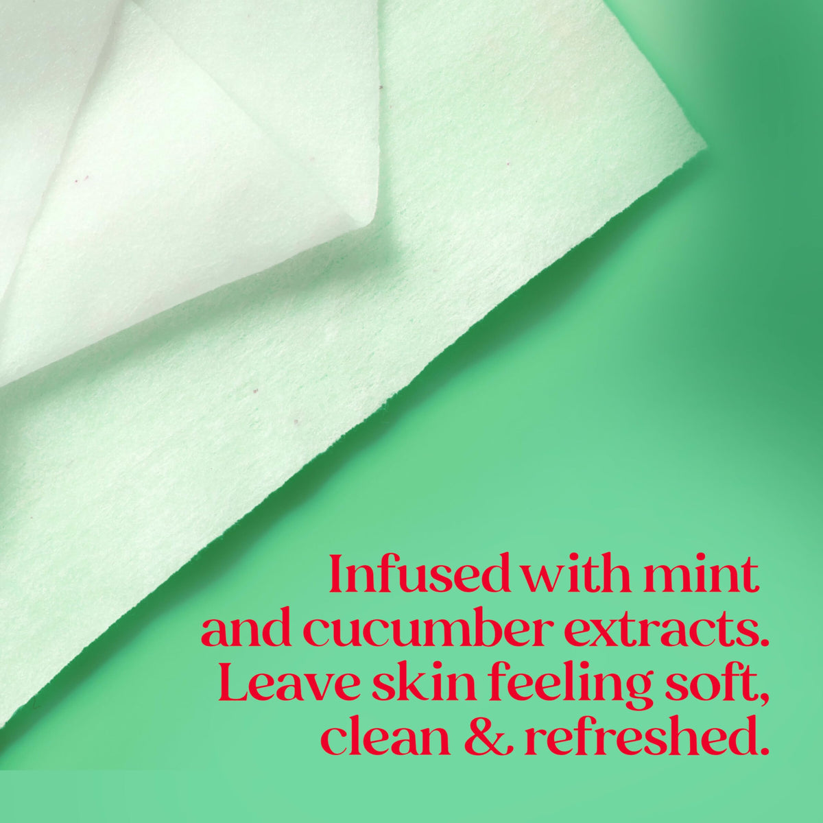 Burt s Bees Cucumber and Mint Face Wipes Refreshing Makeup - Burt's Bees Official Imagery - 6