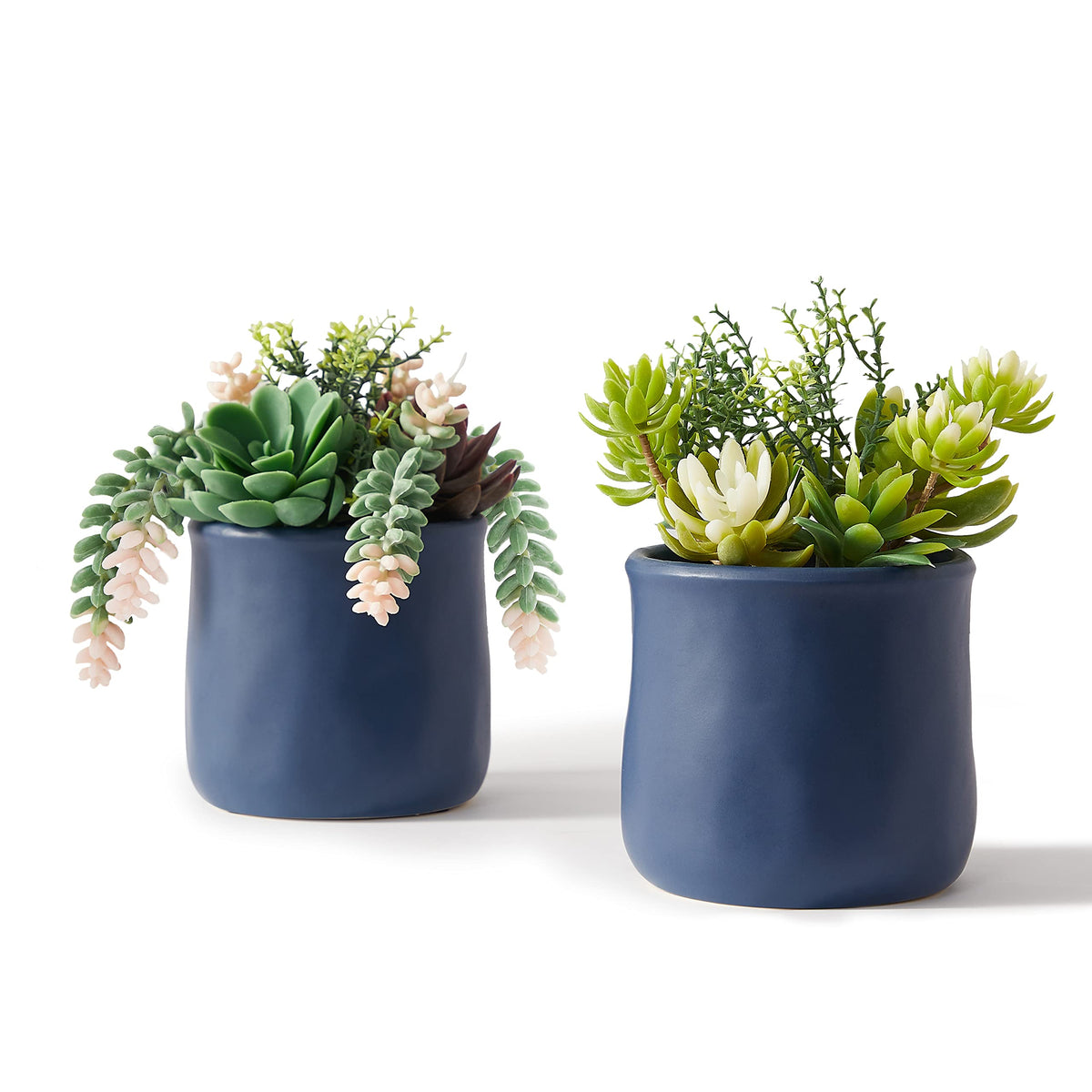 Artificial Succulent in Ceramic Pots 2 Packs Fake Plants - ASTRIDIA Official Imagery - 1