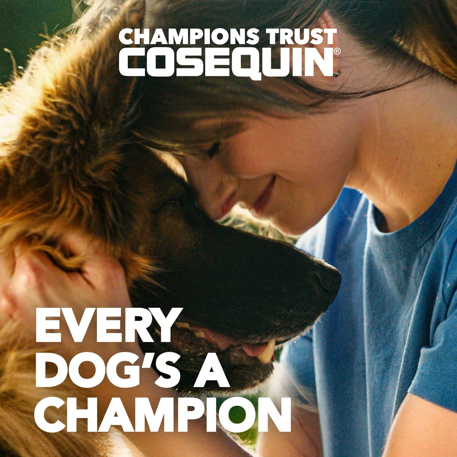 Nutramax Cosequin for Dogs joint health supplement bottle, featuring the Nutramax Laboratories branding and product label.