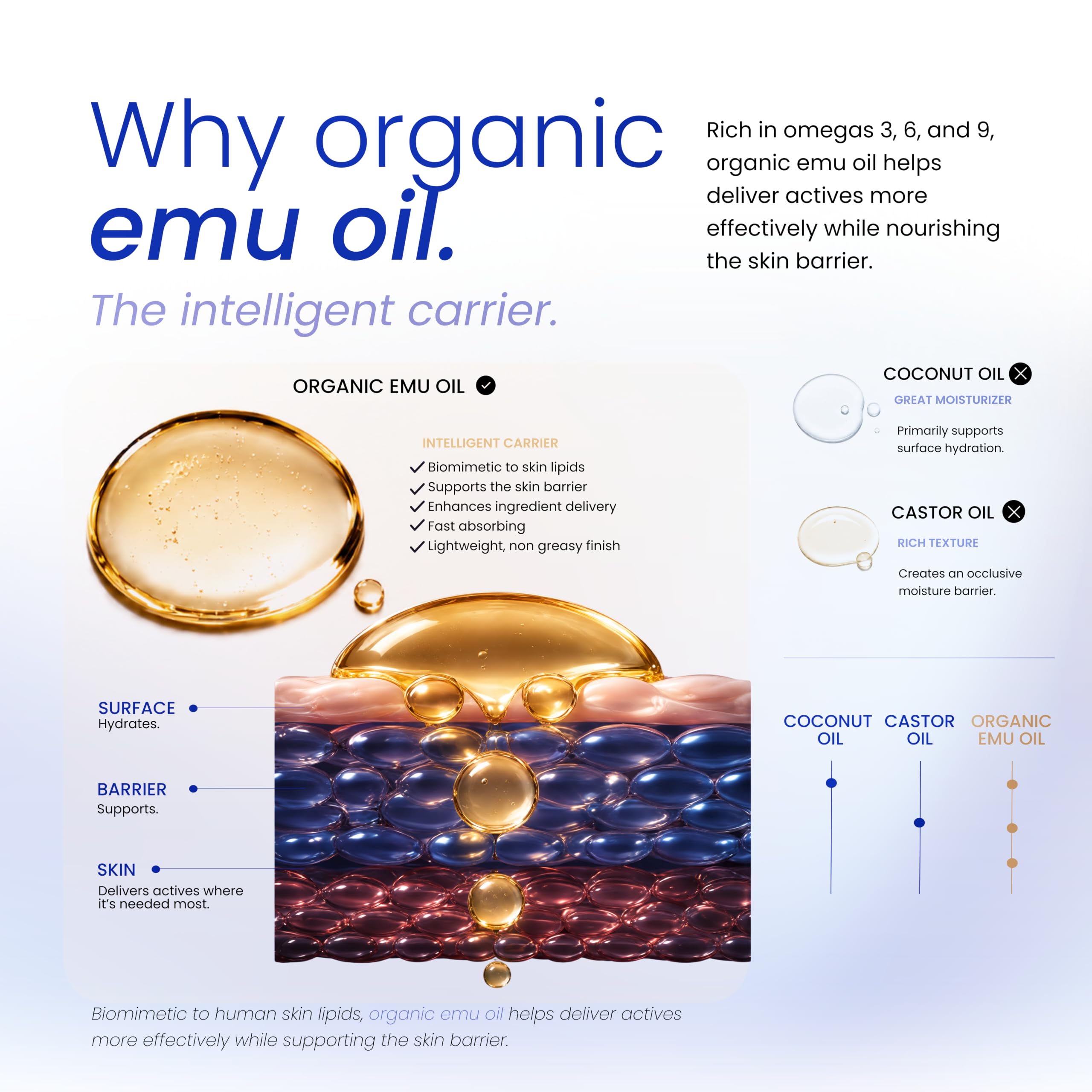 Nutricel Glow GHK - Cu Copper Peptide Serum for Face Anti - Nutricel Glow Official Product View 4