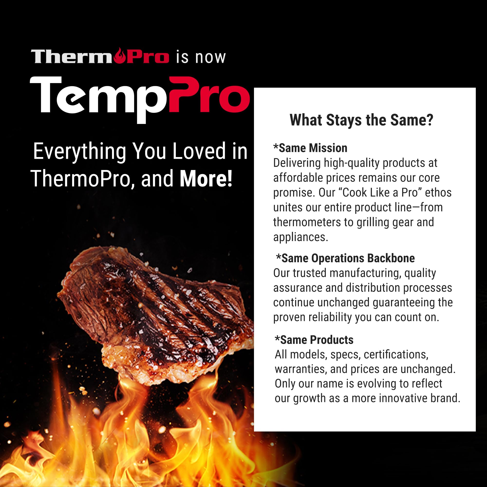 TempPro TP19H 1 Sec Digital Meat Thermometer for Cooking by TempPro - Angle View 9