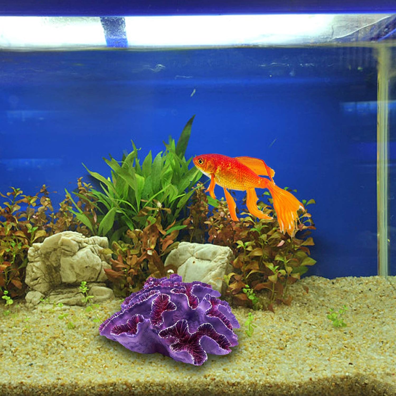 Purple coral aquarium ornament by Besimple with fish tank plants for decorative freshwater or saltwater aquarium landscape.