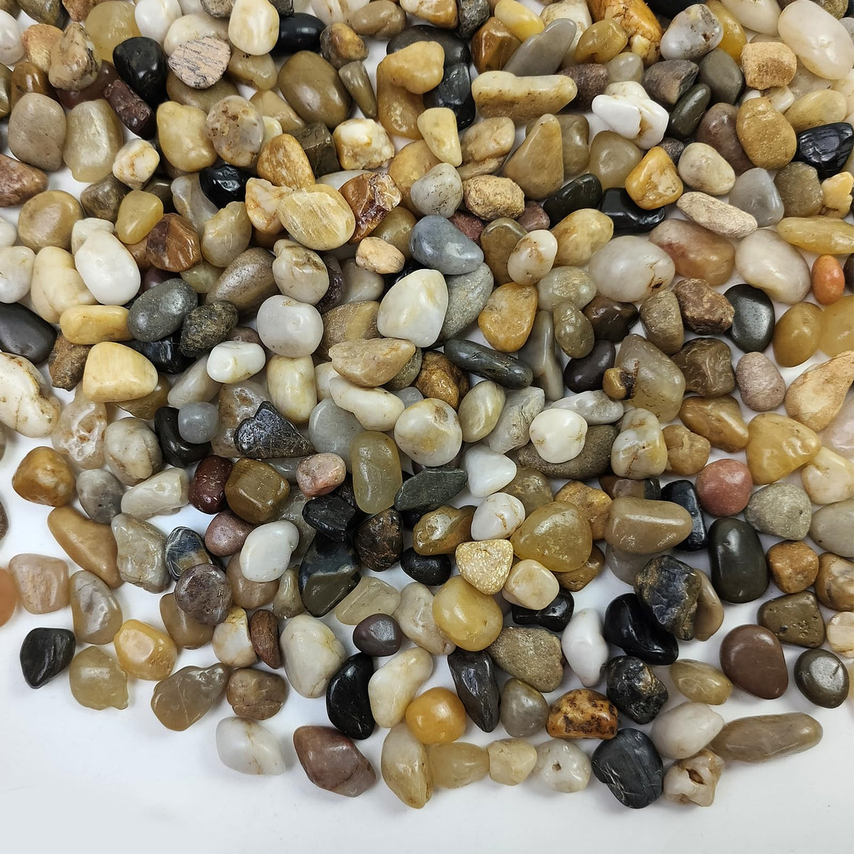 Pea Gravel for Landscaping 10 lbs Aquarium Gravel Rocks 1 4 - FANTIAN Official Imagery - 1
