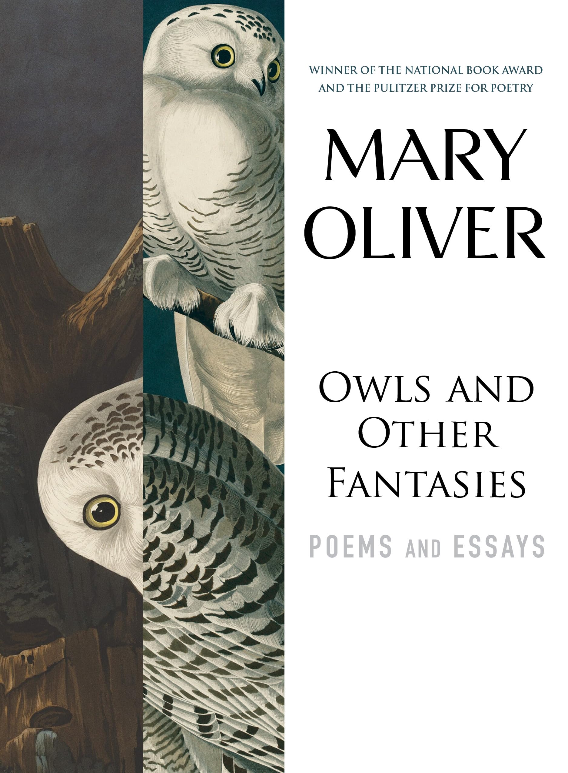 Owls and Other Fantasies: Poems and Essays - Product Imagery