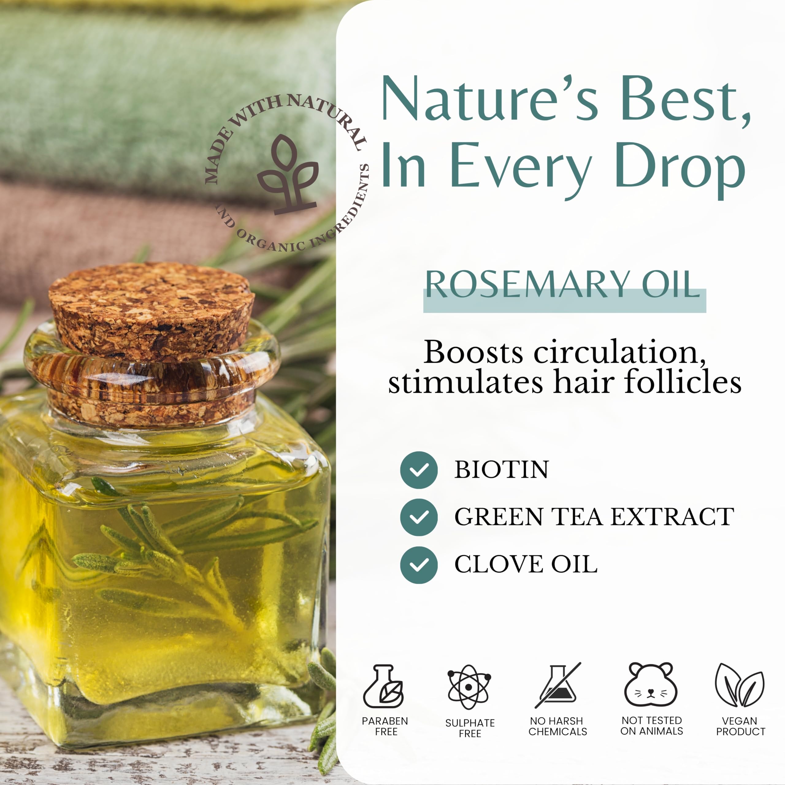 EDENIKA BOTANICALS Rosemary Biotin Shampoo and Conditioner Set for Hair Strengthening - EDENIKA BOTANICALS Official Product View 5
