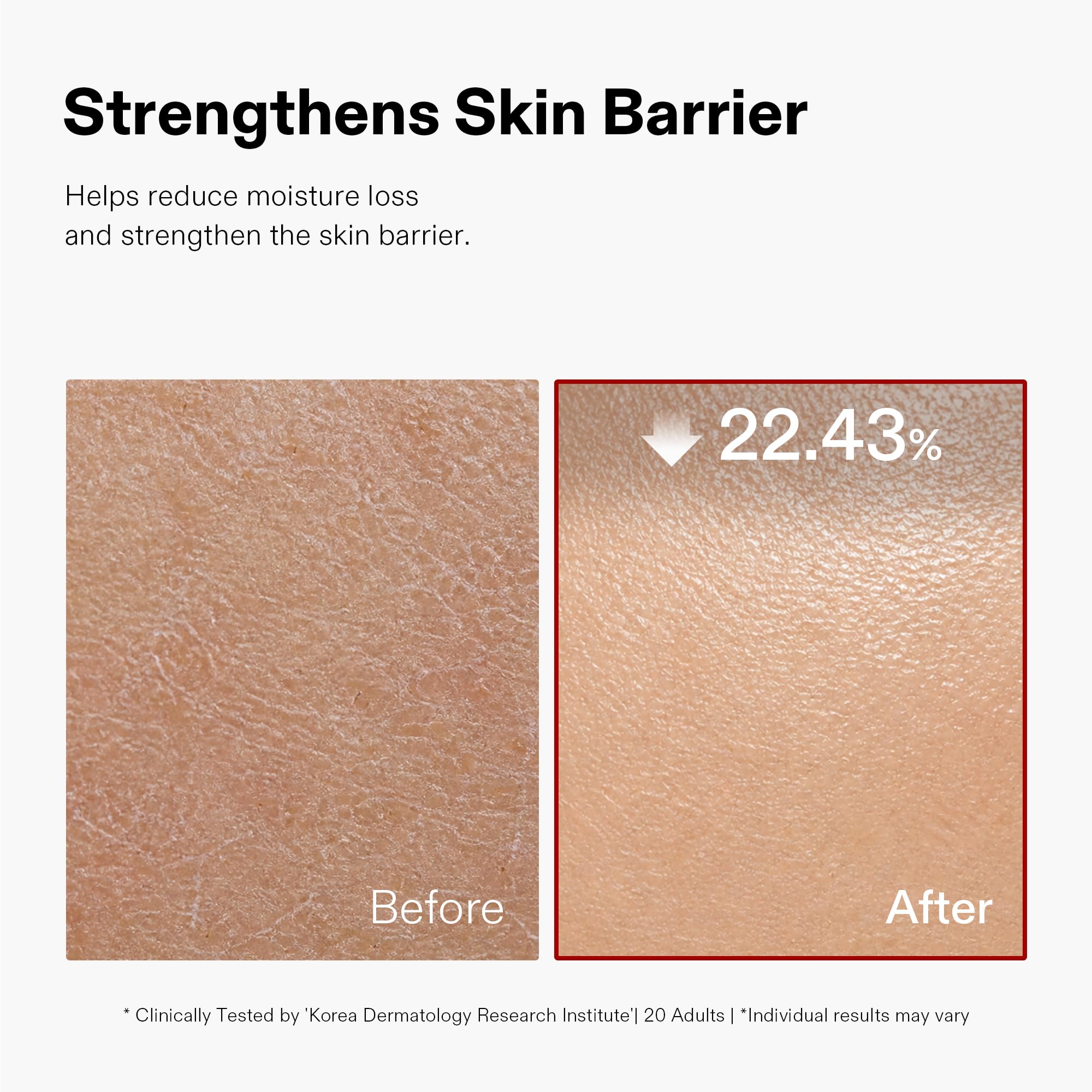 CORDIALE Camellia Revitalizing Barrier Cream Korean Face - CORDIALE Official Imagery - 4