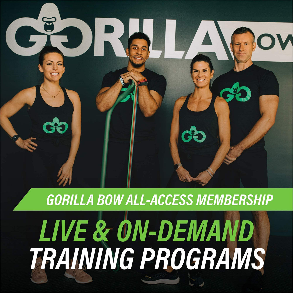 Original All in One Portable Home Gym System Professional - Gorilla Bow Official Imagery - 4