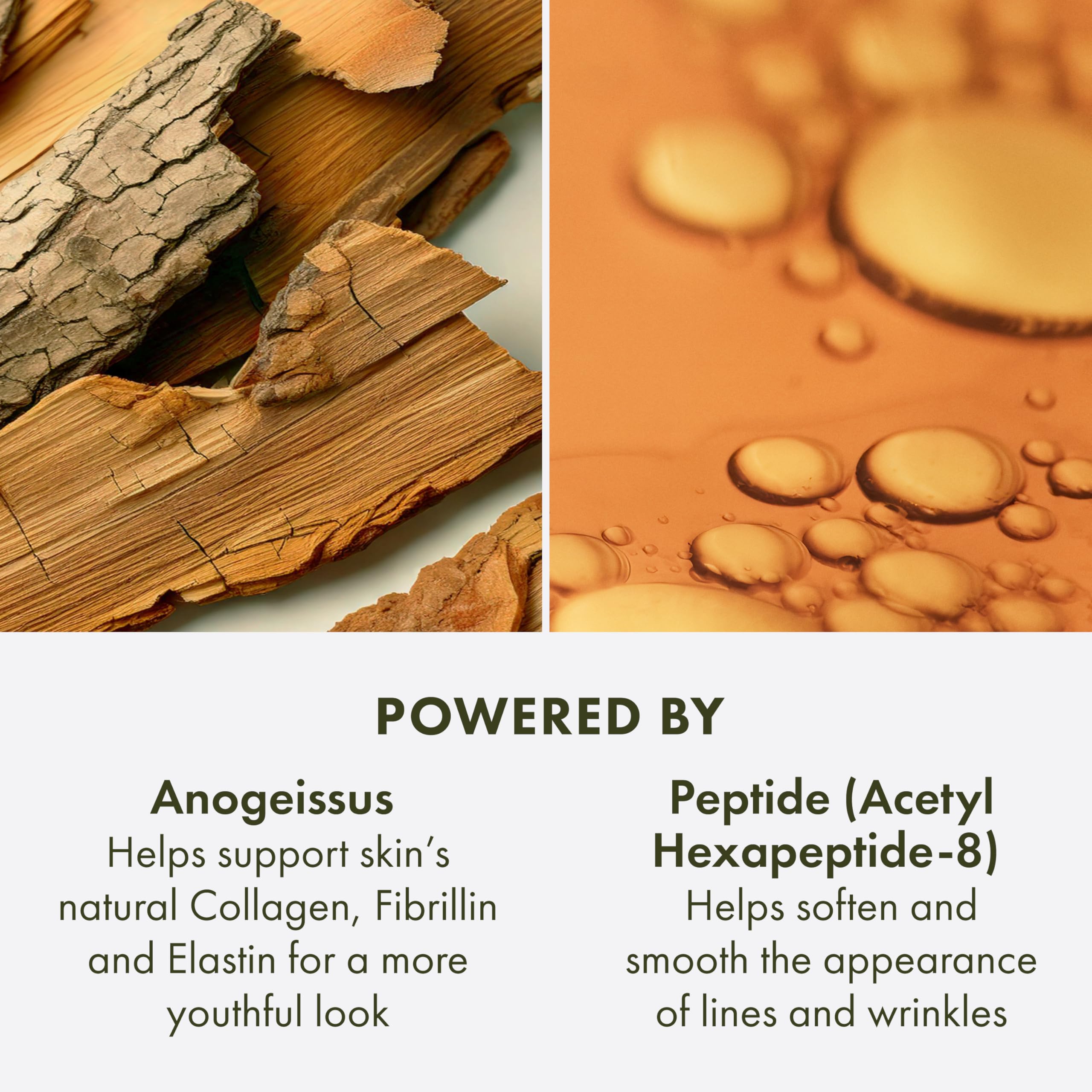 Origins Plantscription Lifting Firming Peptide Moisturizer - Premium Selection Official Imagery - 6