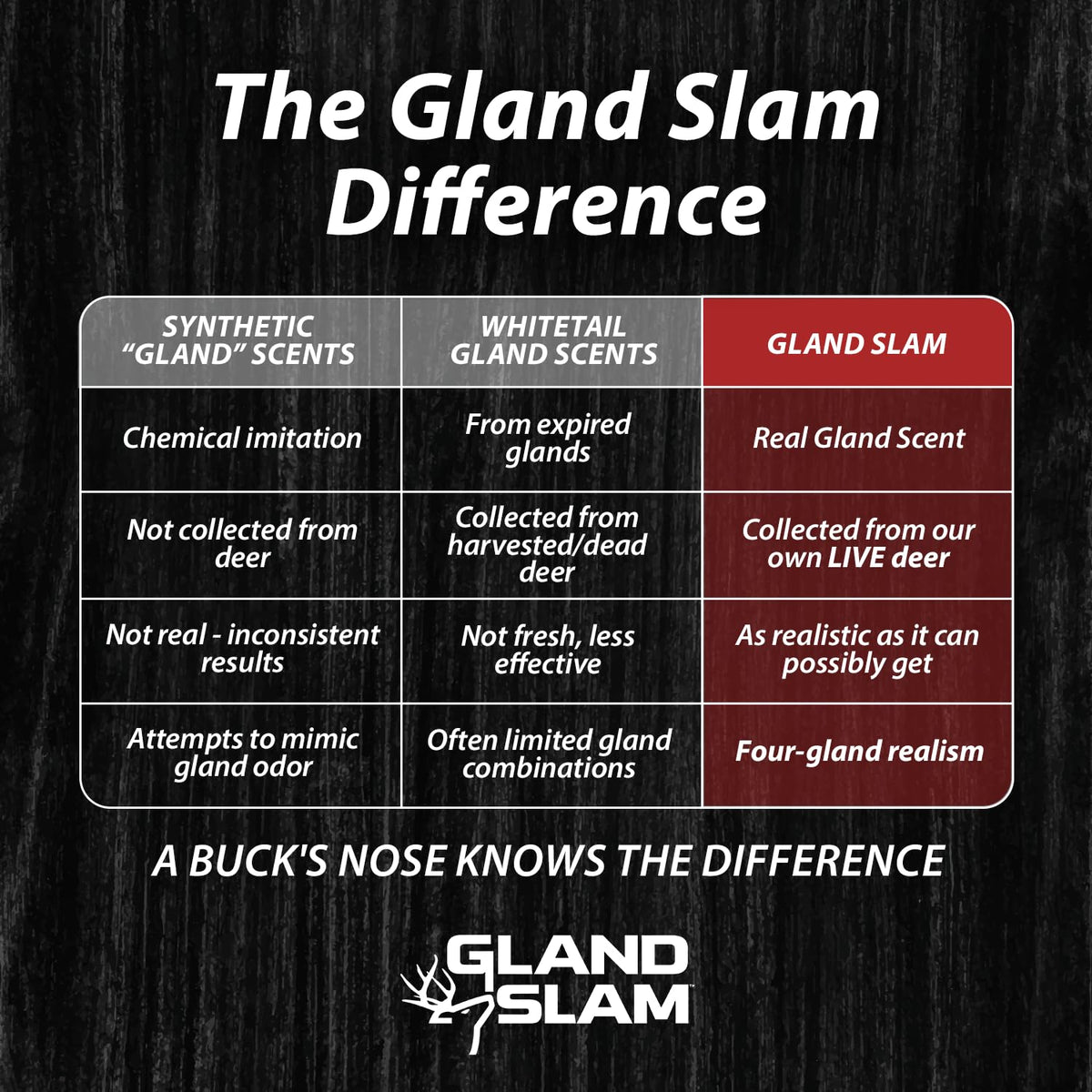 Gland Slam Whitetail Multi Gland Deer Scent - Outdoor Hunting Lab Official Imagery - 5