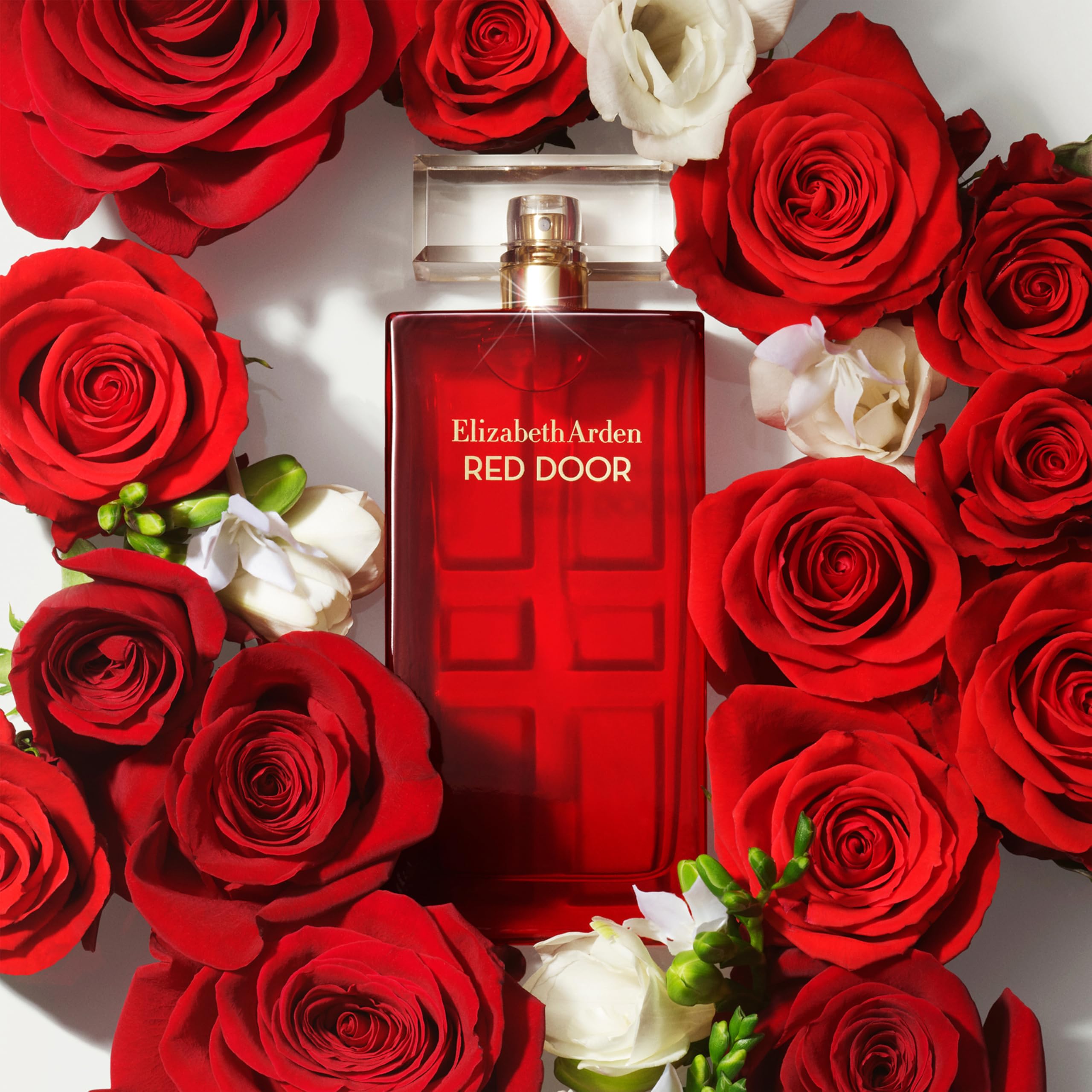 Elizabeth Arden Red Door Eau de Parfum, Women's Perfume, 1.7 - Generic