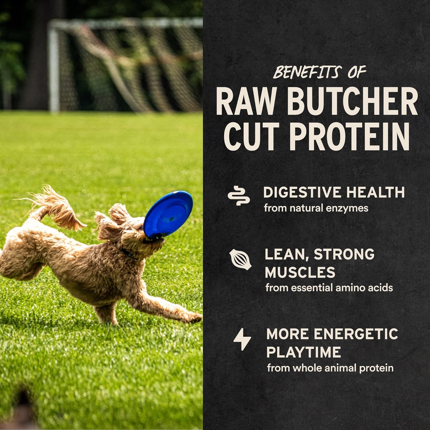 Vital Essentials freeze-dried Minnows dog treats, single-ingredient natural fish treats for dogs, shown in the image.