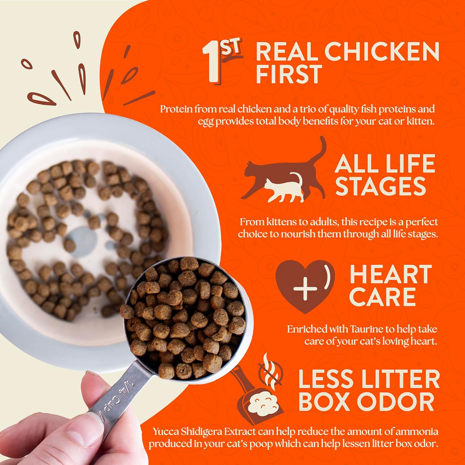 Earthborn Holistic Primitive Feline grain-free dry cat food in 12.5 lb. bag, showing the cat food packaging and label.