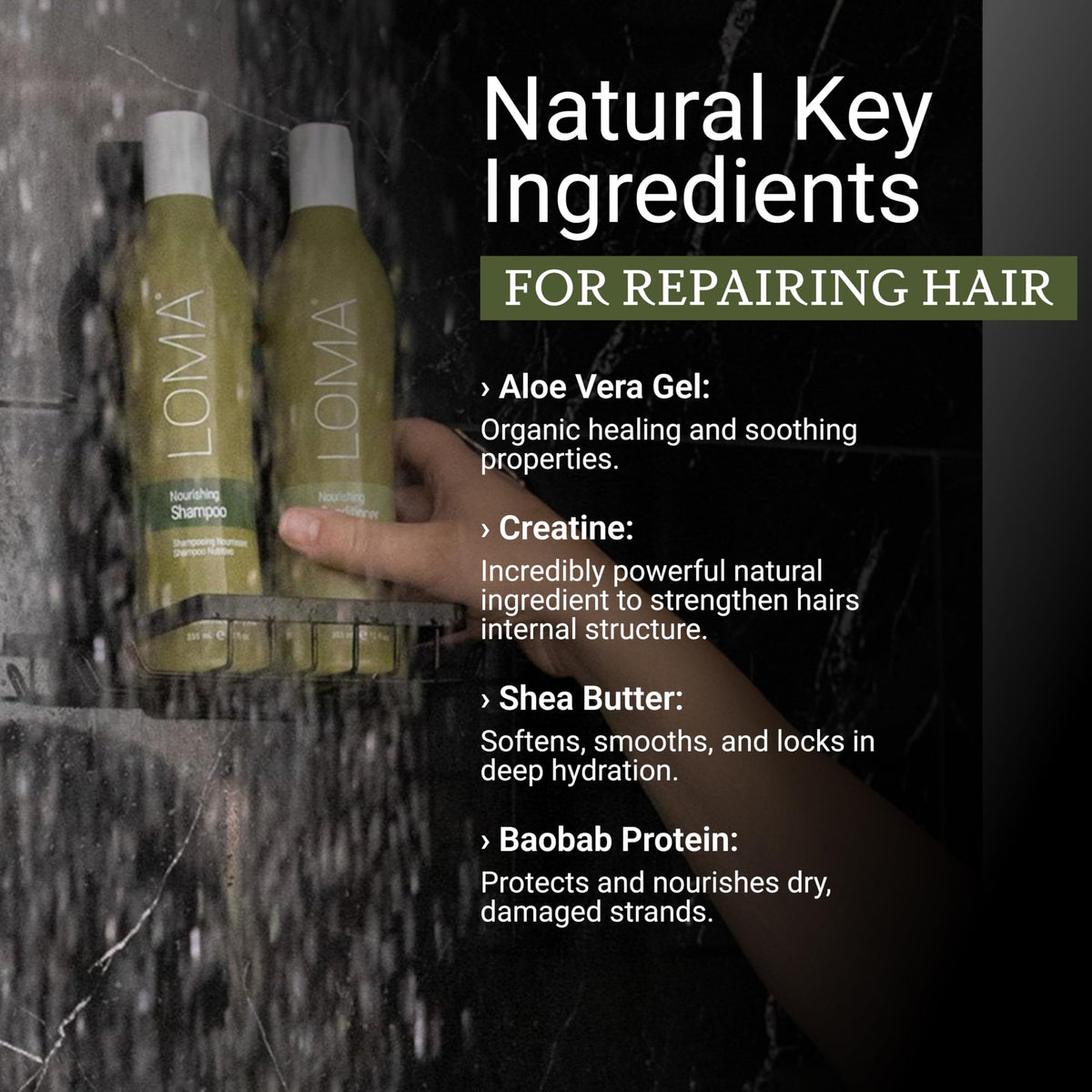 Loma Hair Care Nourishing Shampoo Conditioner Duo - Premium Selection Official Imagery - 3