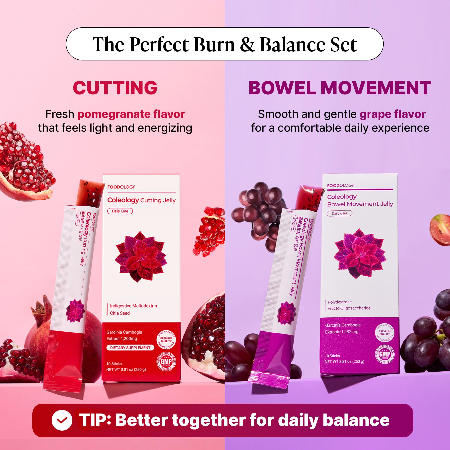 FOODOLOGY Garcinia Twin Jelly: Cutting & Bowel Movement Jelly, Dietary - View 3
