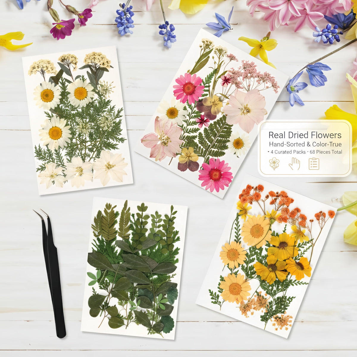 Relaxing Garden Pressed Flower Frame Kit 3 Hanging Glass - Relaxing Garden Official Imagery - 7