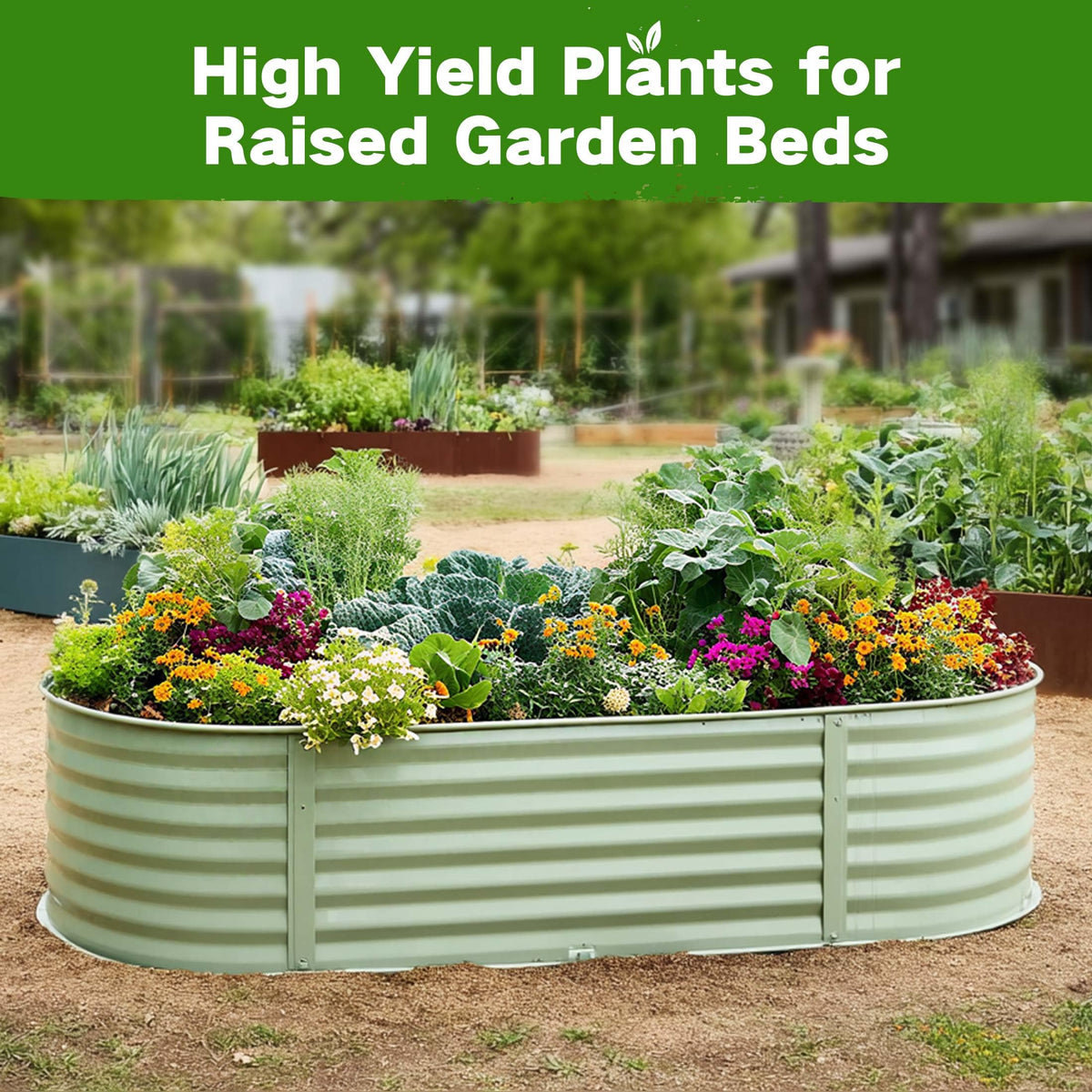 Lush Dew Raised Garden Bed Heirloom Seed Bank 32 Type 30000 - LUSH&DEWㅤ Official Imagery - 5