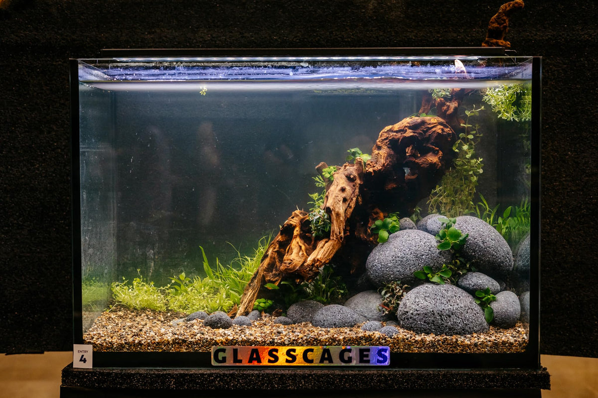 Aqua Natural Rock Smooth Lava 14lb - Aqua Natural Official Imagery - 3